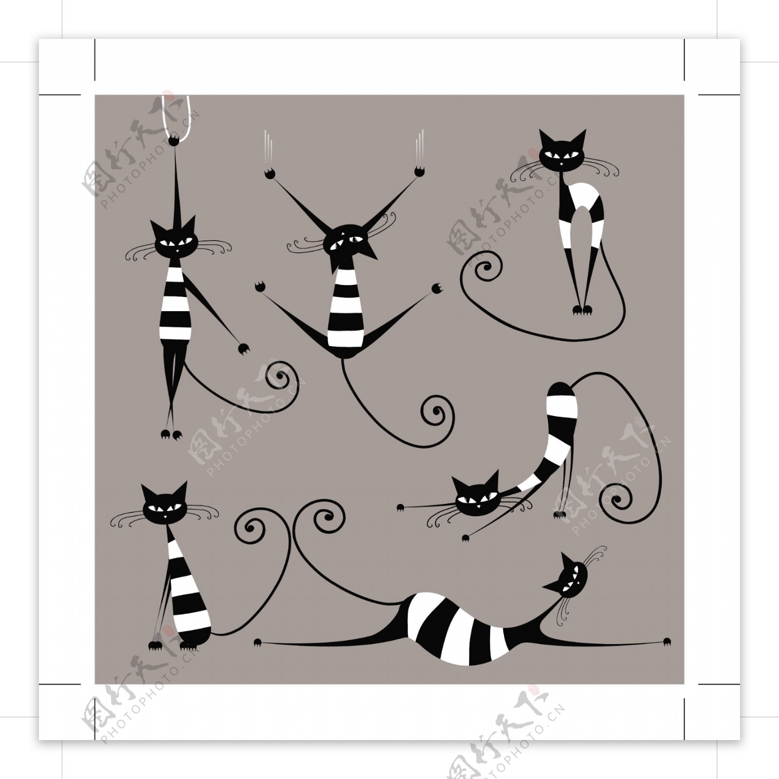 抽象动物猫素描线条猫表情猫黑白