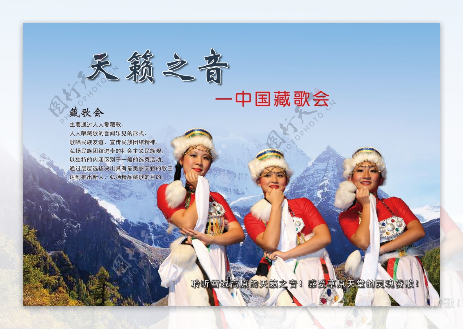 藏歌会海报图片