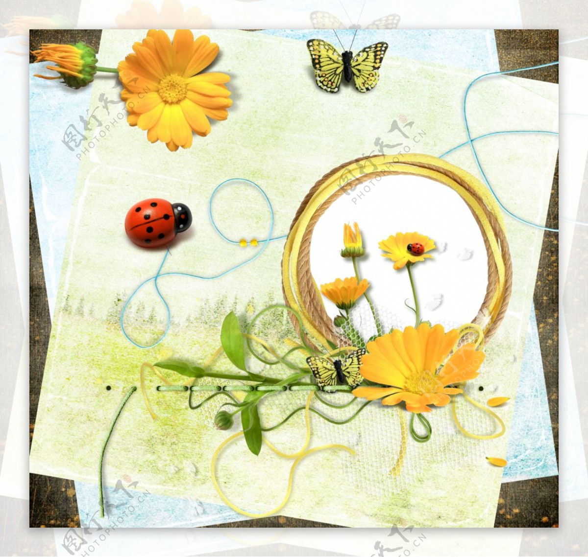 花朵瓢虫蝴蝶相框图片