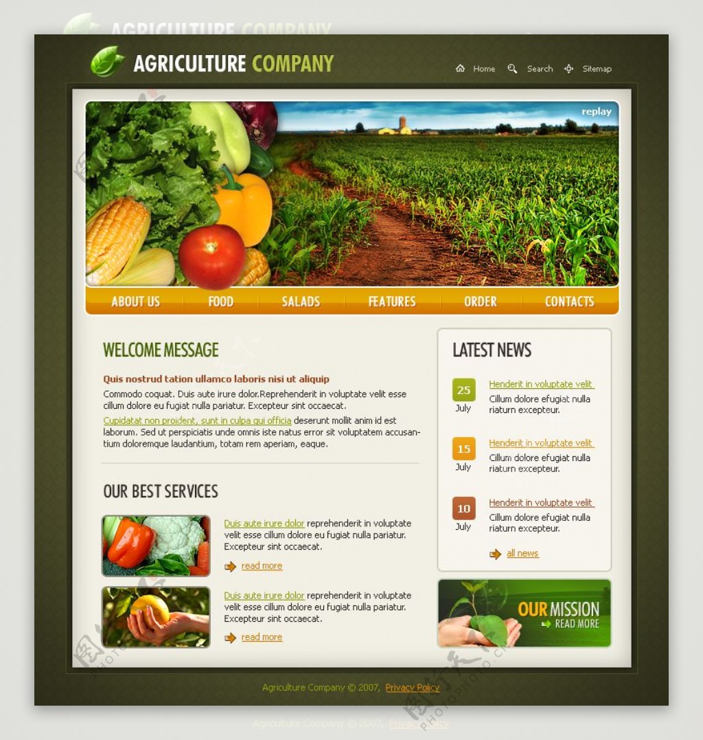 绿色蔬菜网站设计
