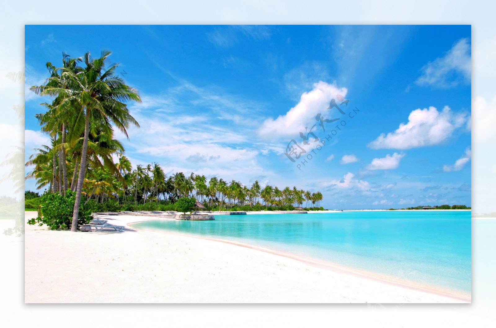 美丽的大海沙滩椰树自然风景高清图片大全-壁纸图片大全
