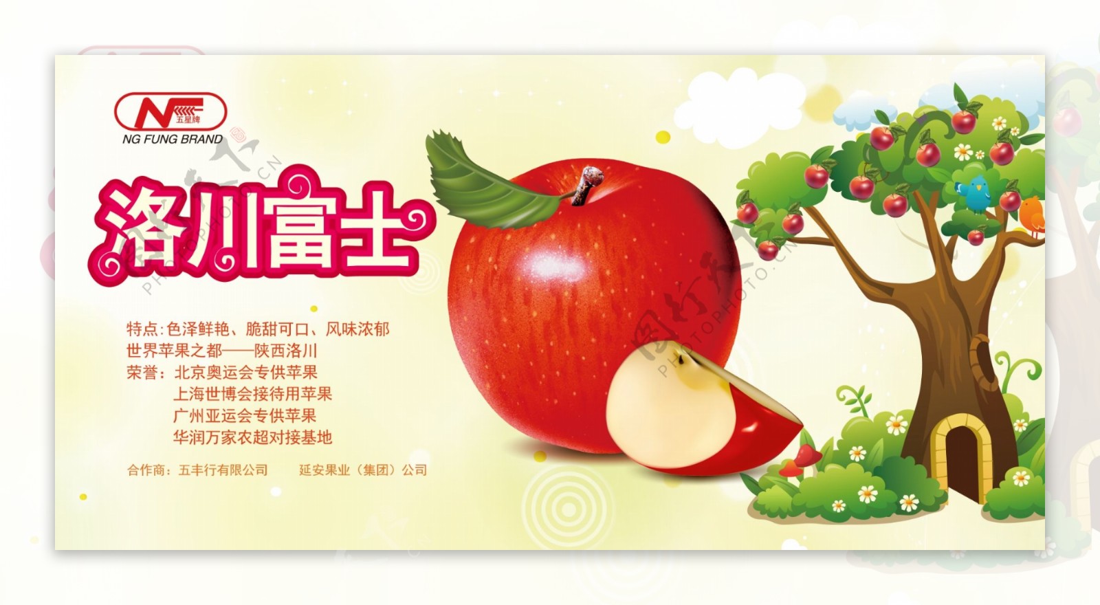 洛川富士苹果
