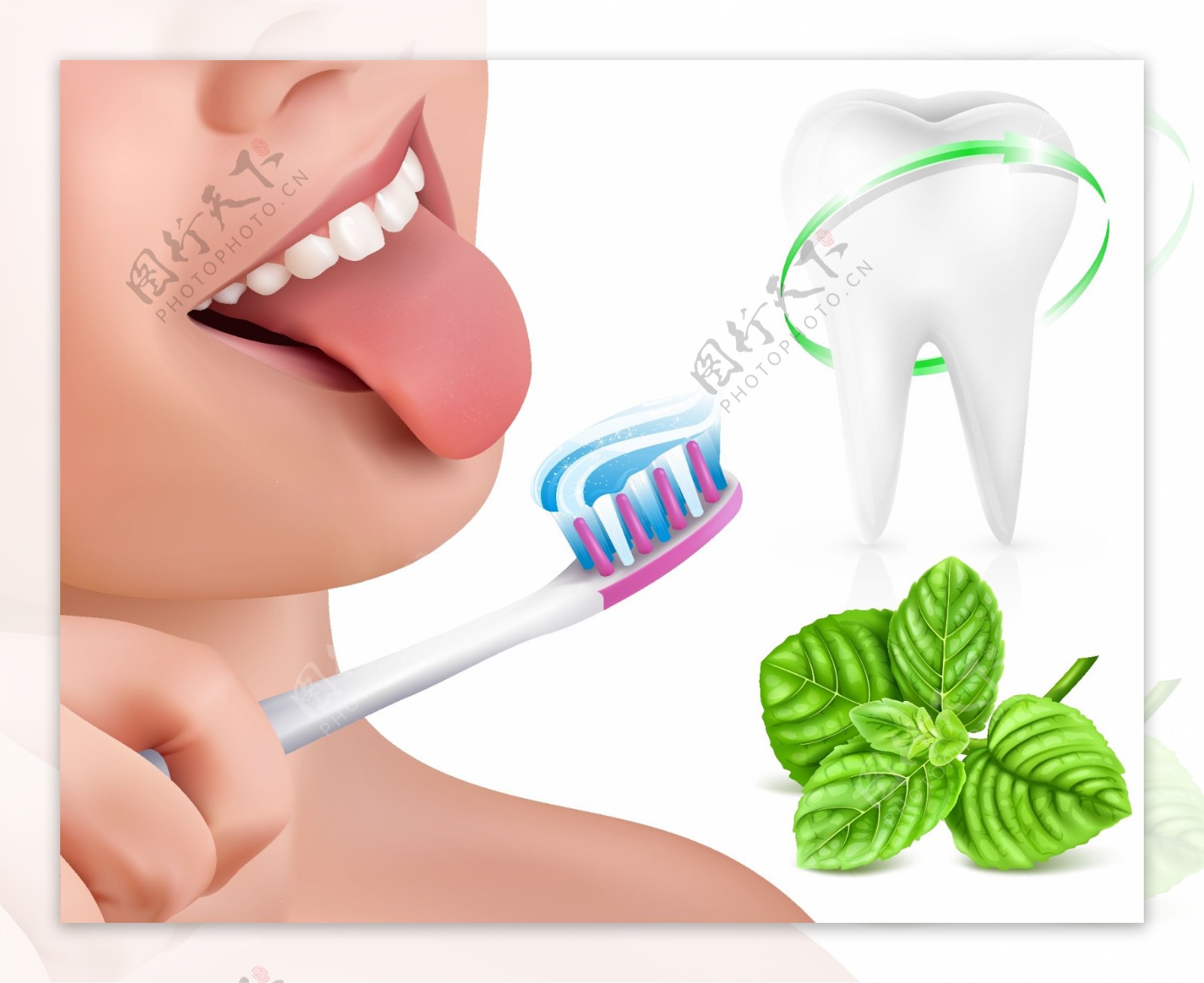 刷牙与牙齿素材