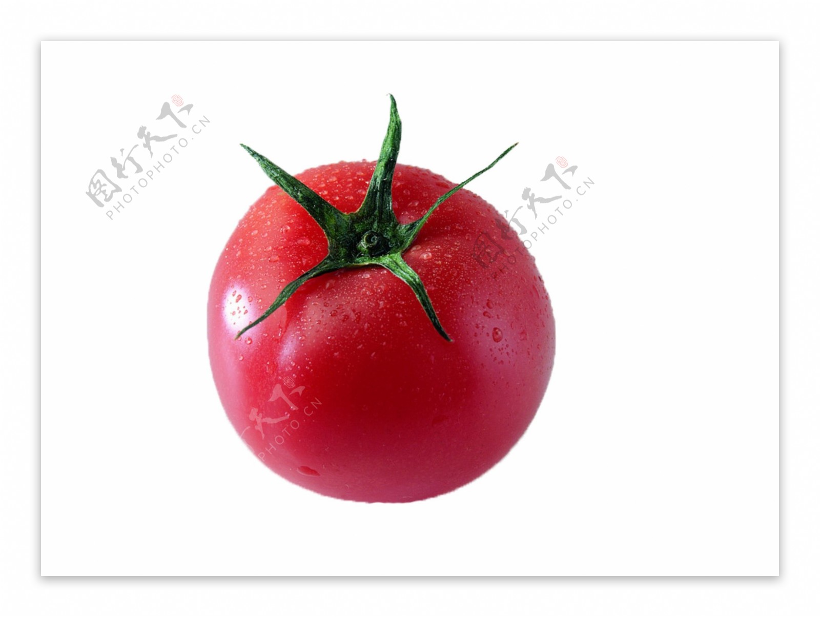 一个番茄素材