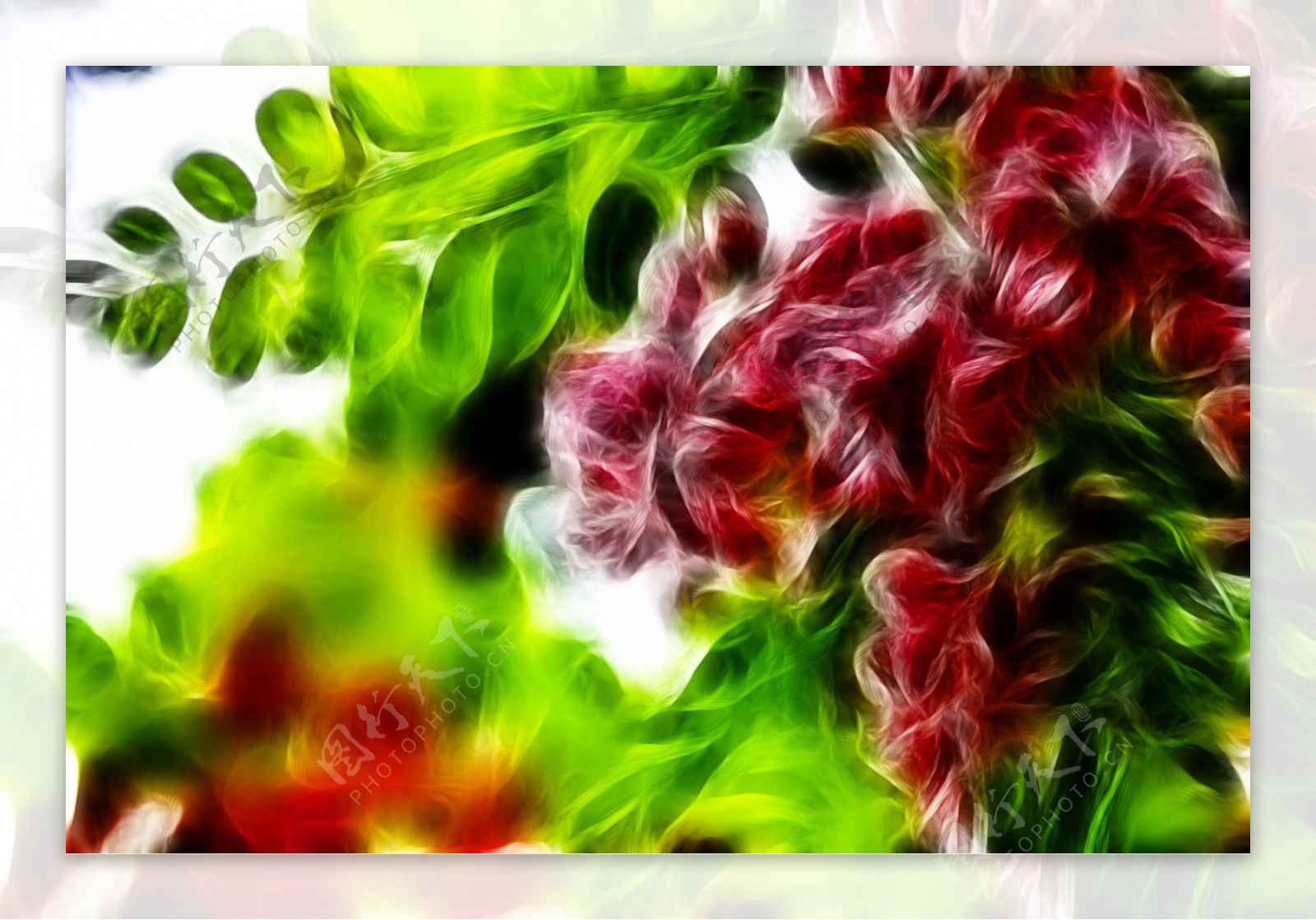 植物花卉炫光光影效果无框画装饰画