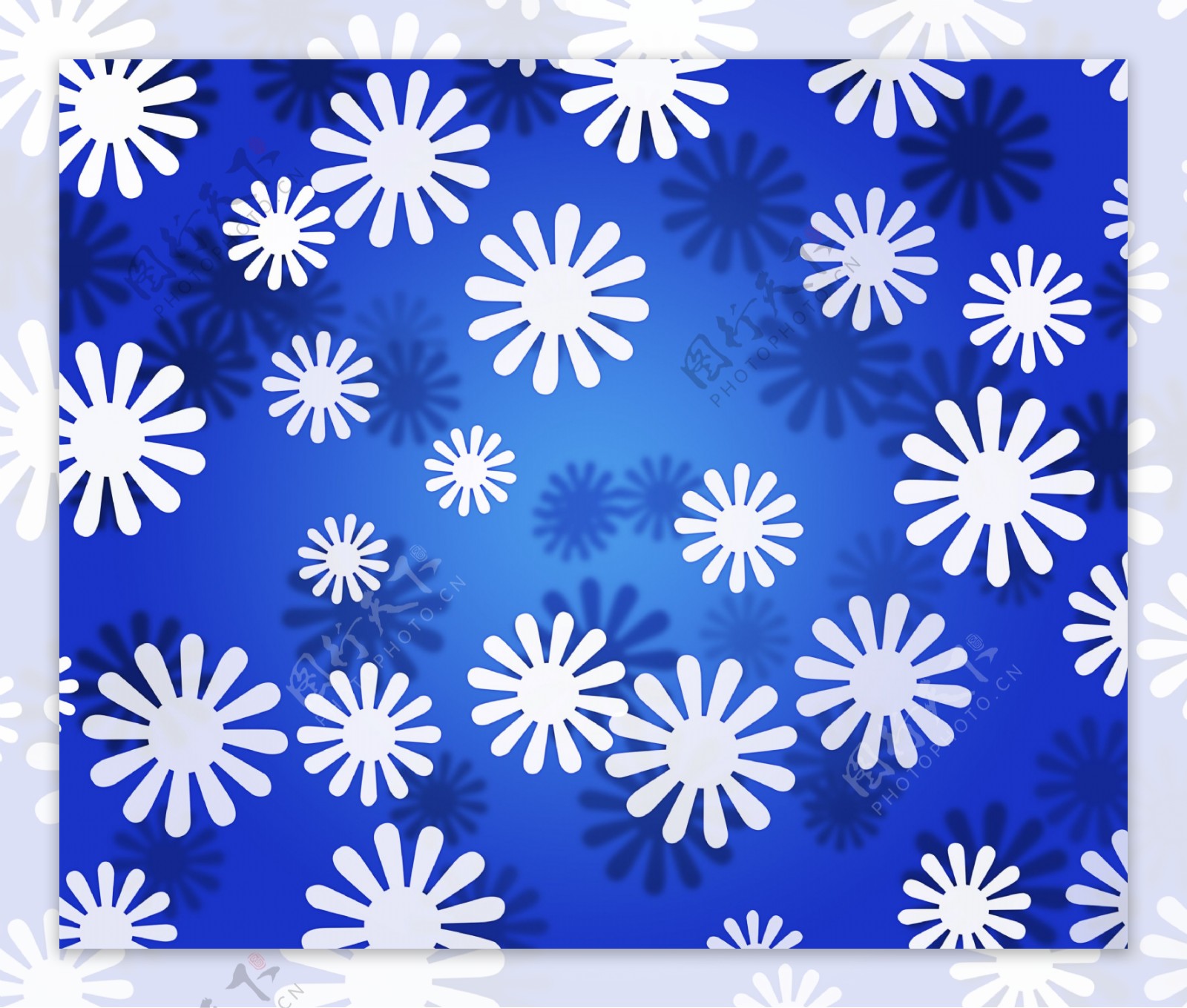 白色的花简单的蓝色纹理