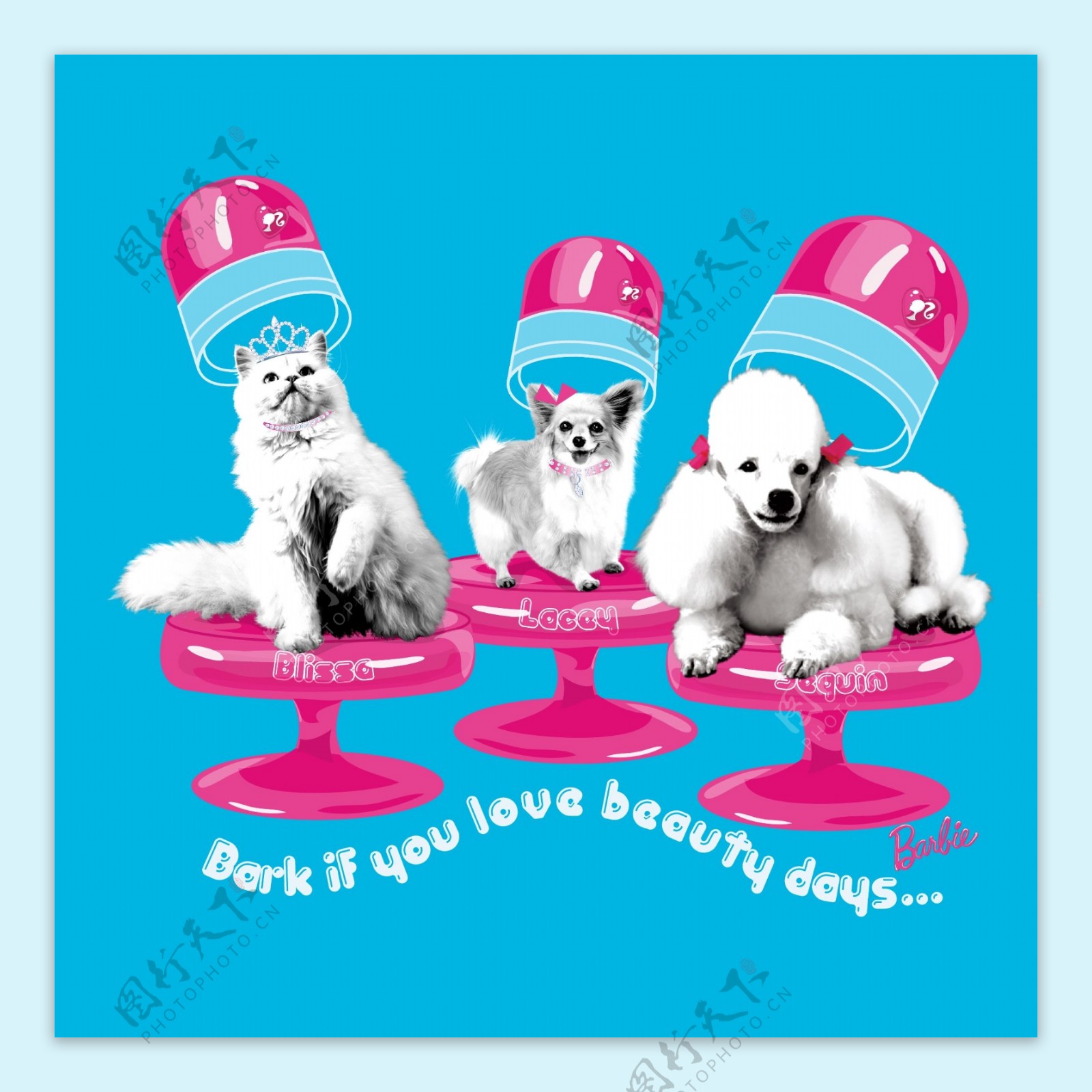 印花矢量图T恤图案动物贵宾蝴蝶犬免费素材
