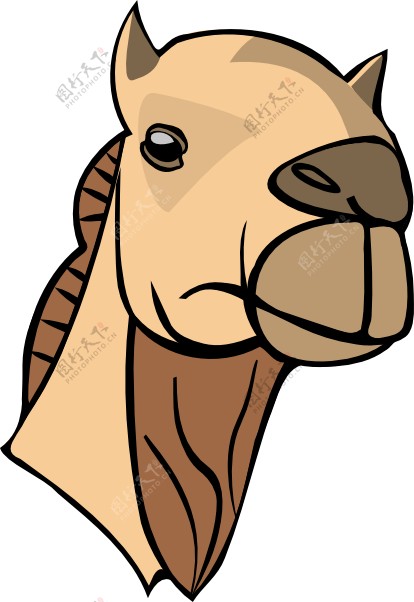 骆驼的头夹艺术2