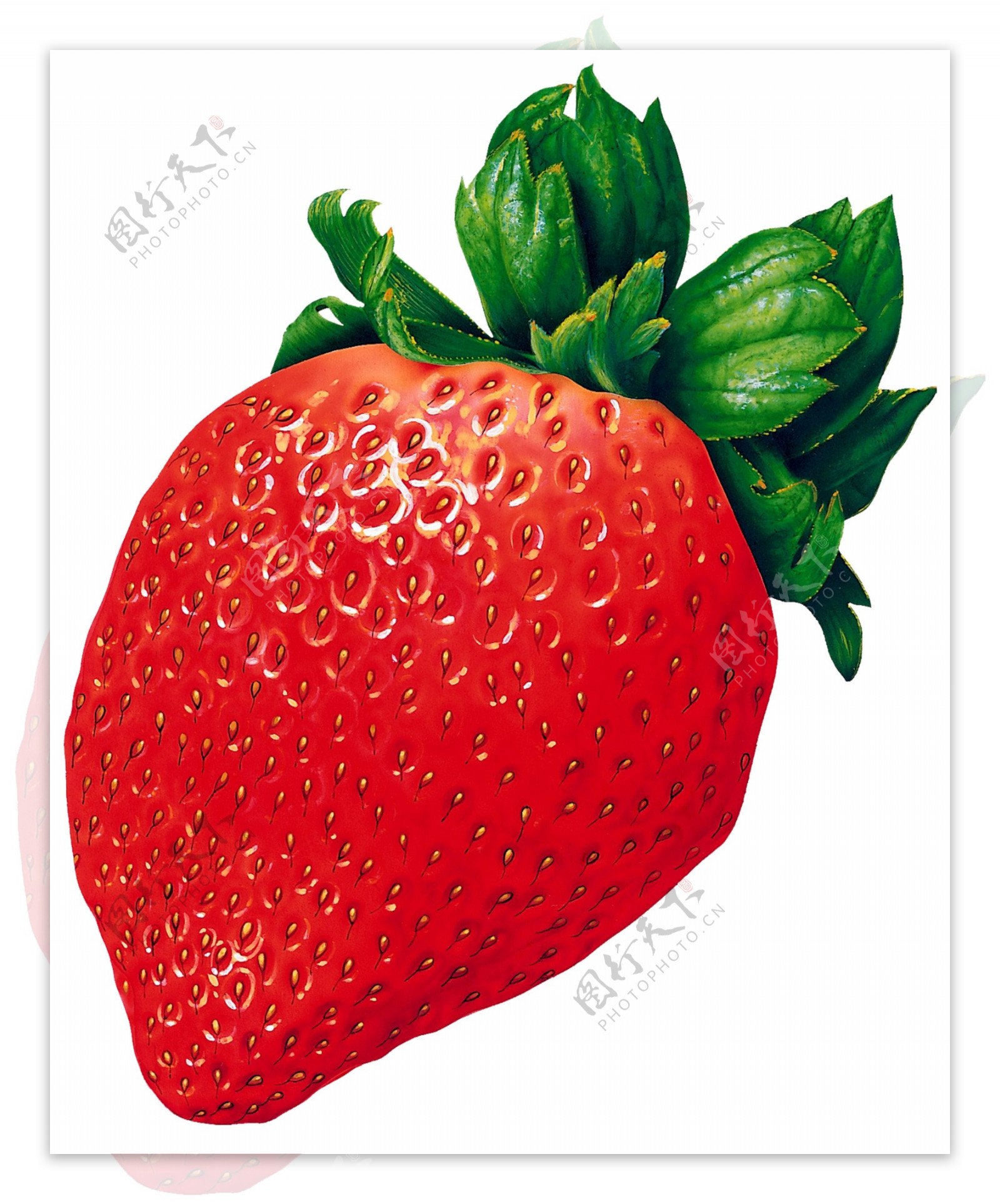 PSD水果草莓抠图格式