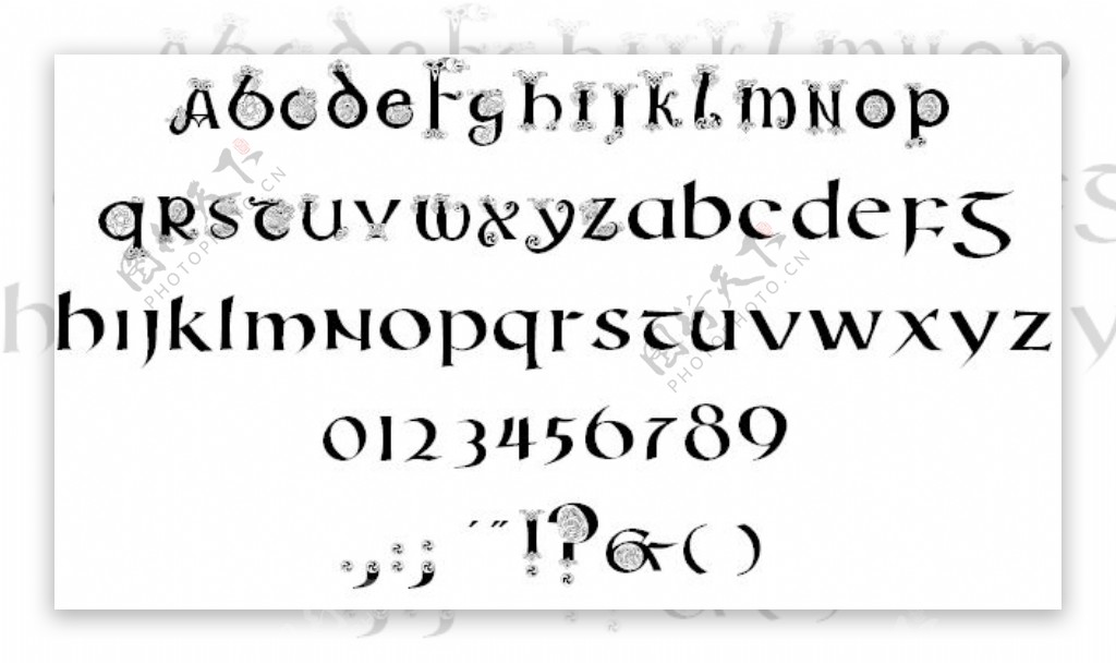 安色尔字体动物字体