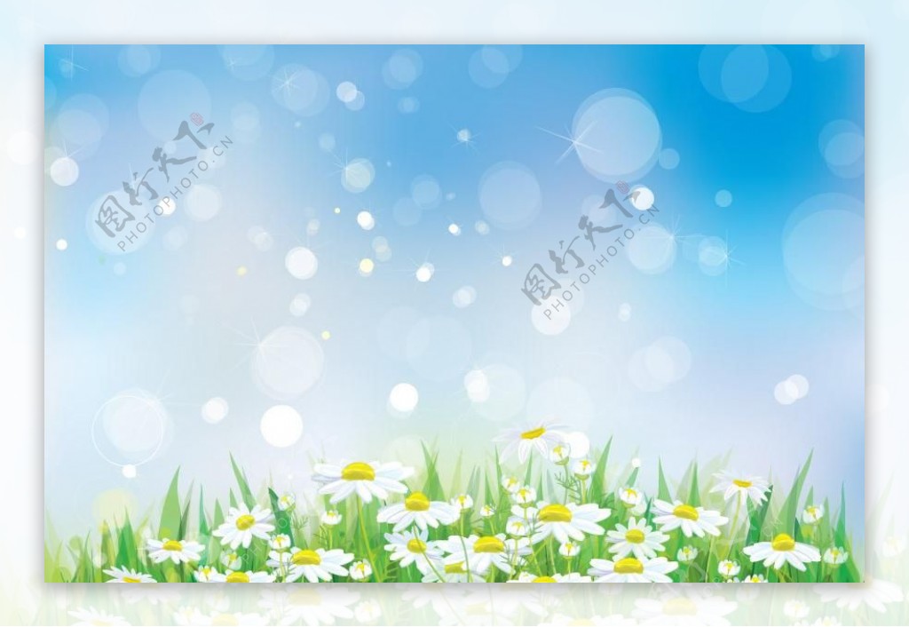 鲜花草地春天背景图片