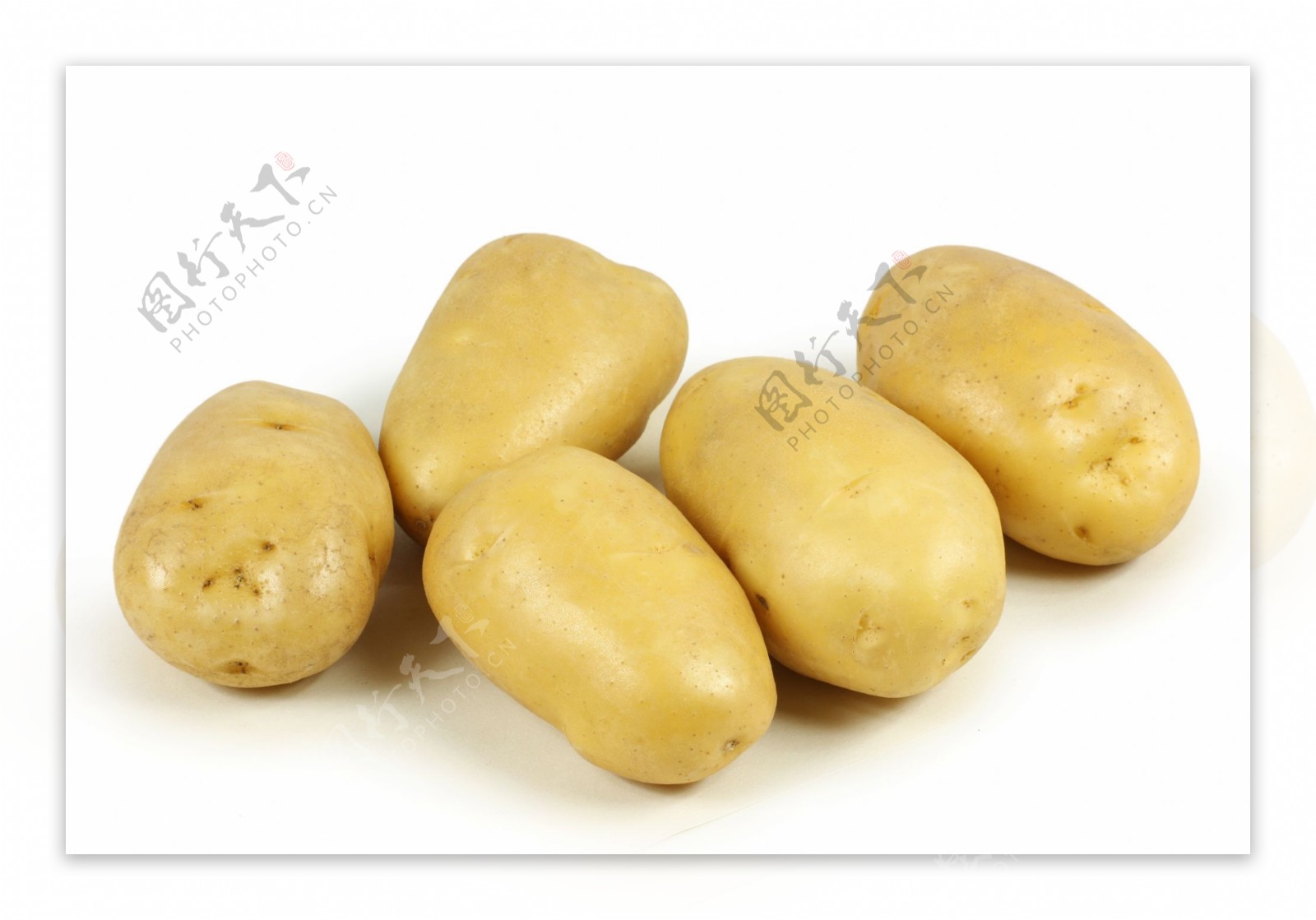 土豆 摄影图__蔬菜_生物世界_摄影图库_昵图网nipic.com
