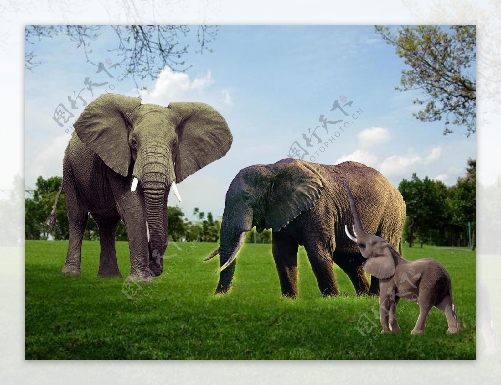 大象群雕