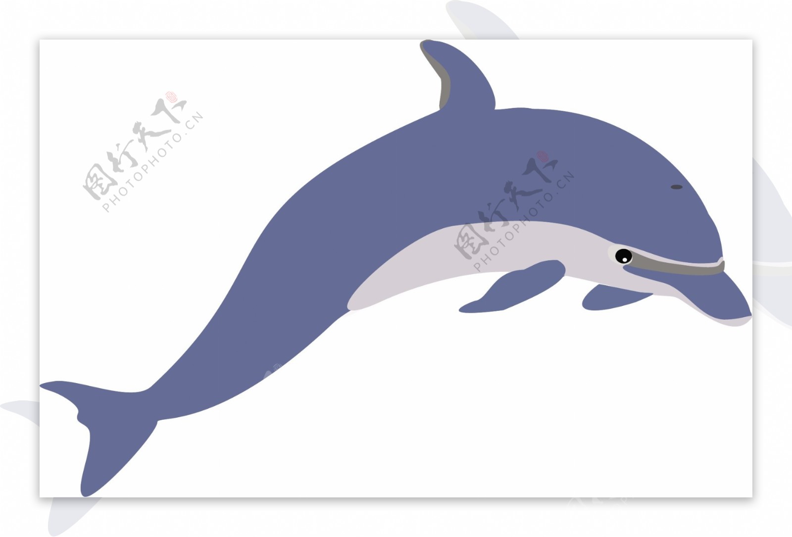 海豚1向量
