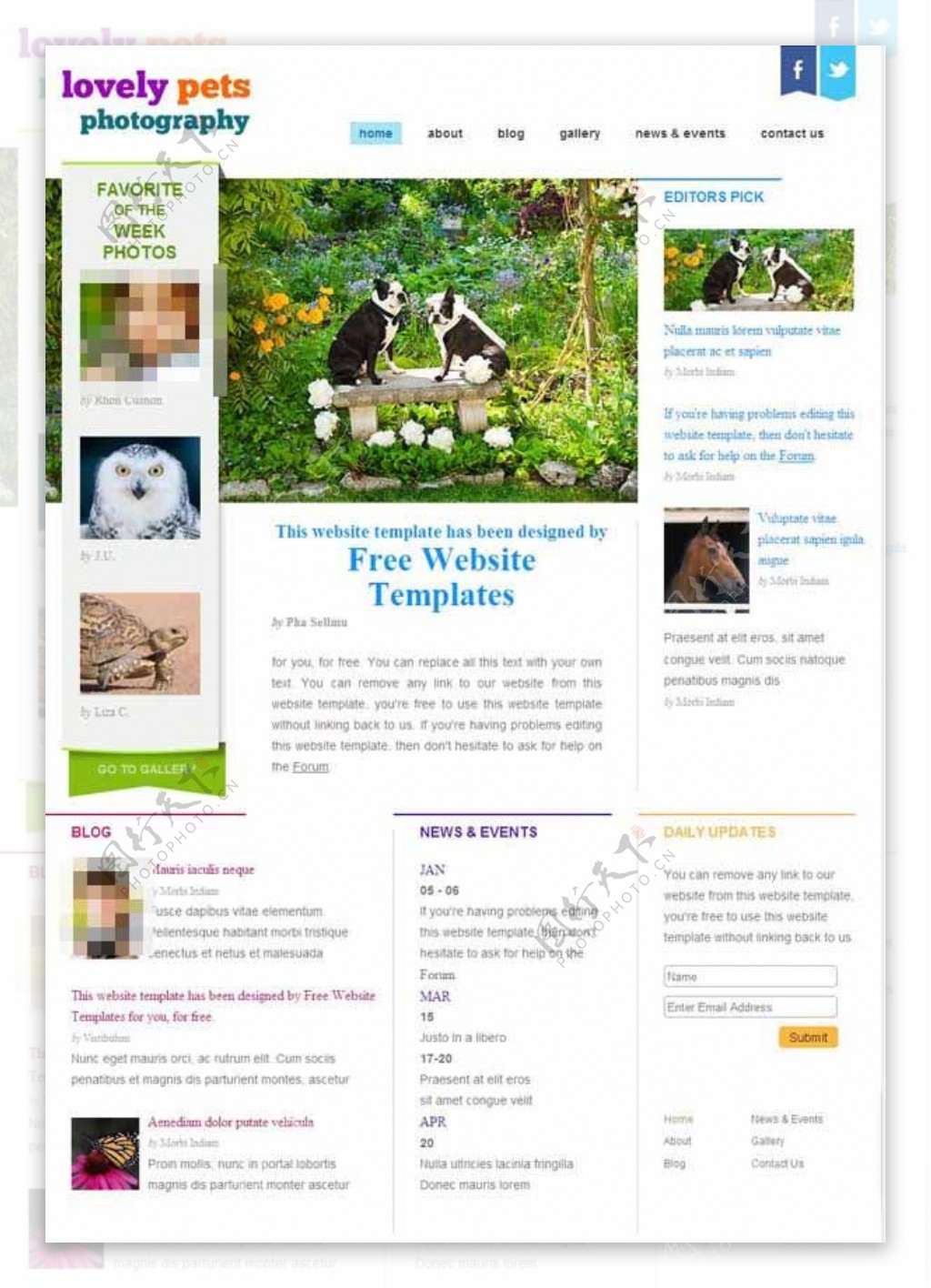 宠物摄影CSS网页模板