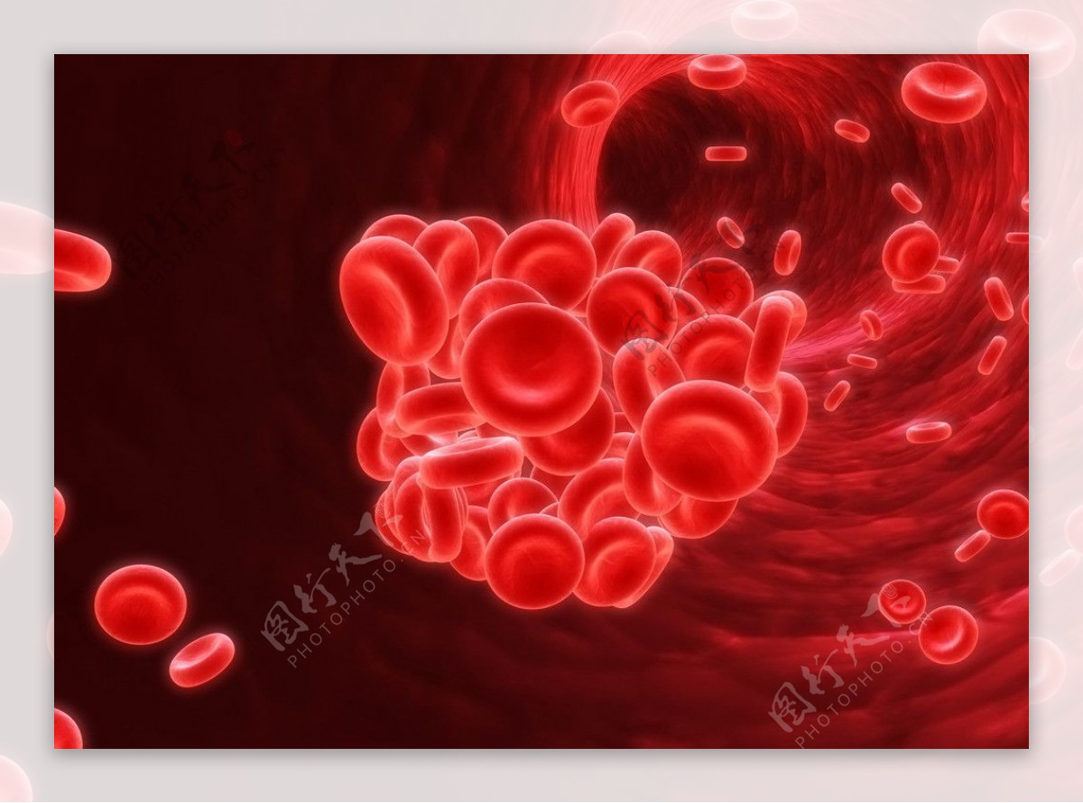 红细胞图片