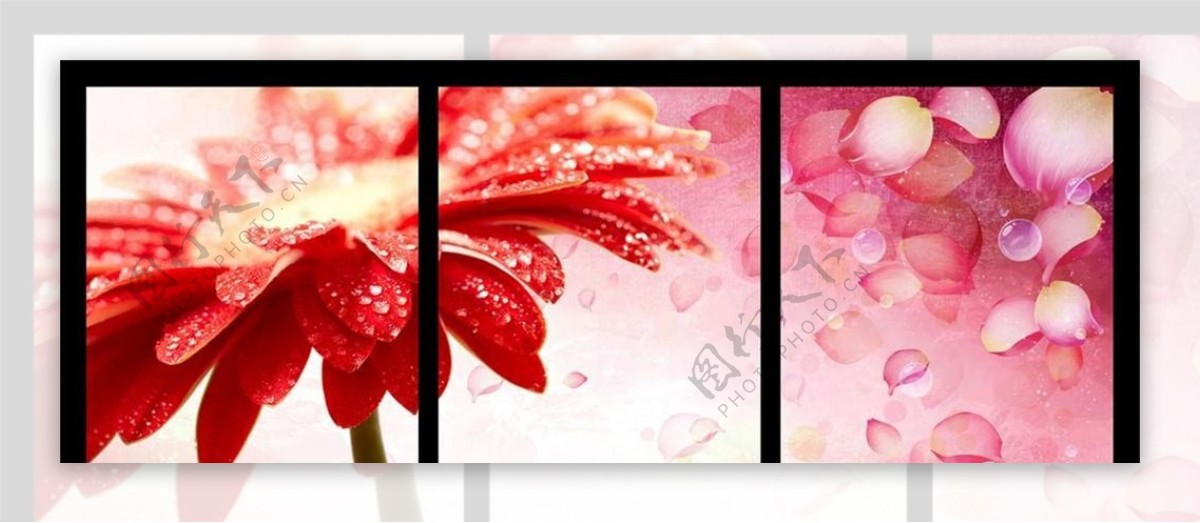 温馨浪漫菊花花瓣水滴装饰画图片