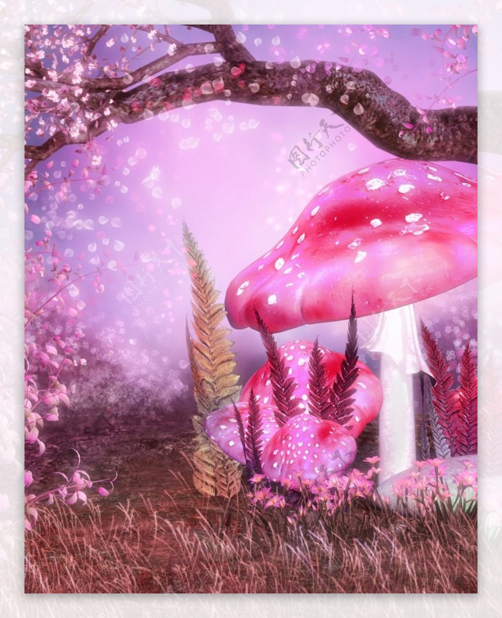 梦幻场景蘑菇图片