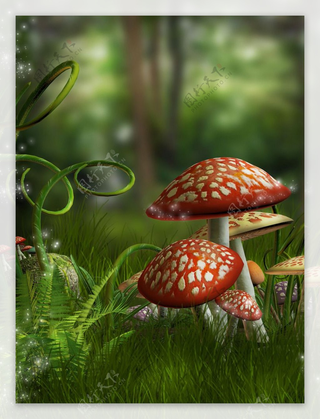 蘑菇草丛图片