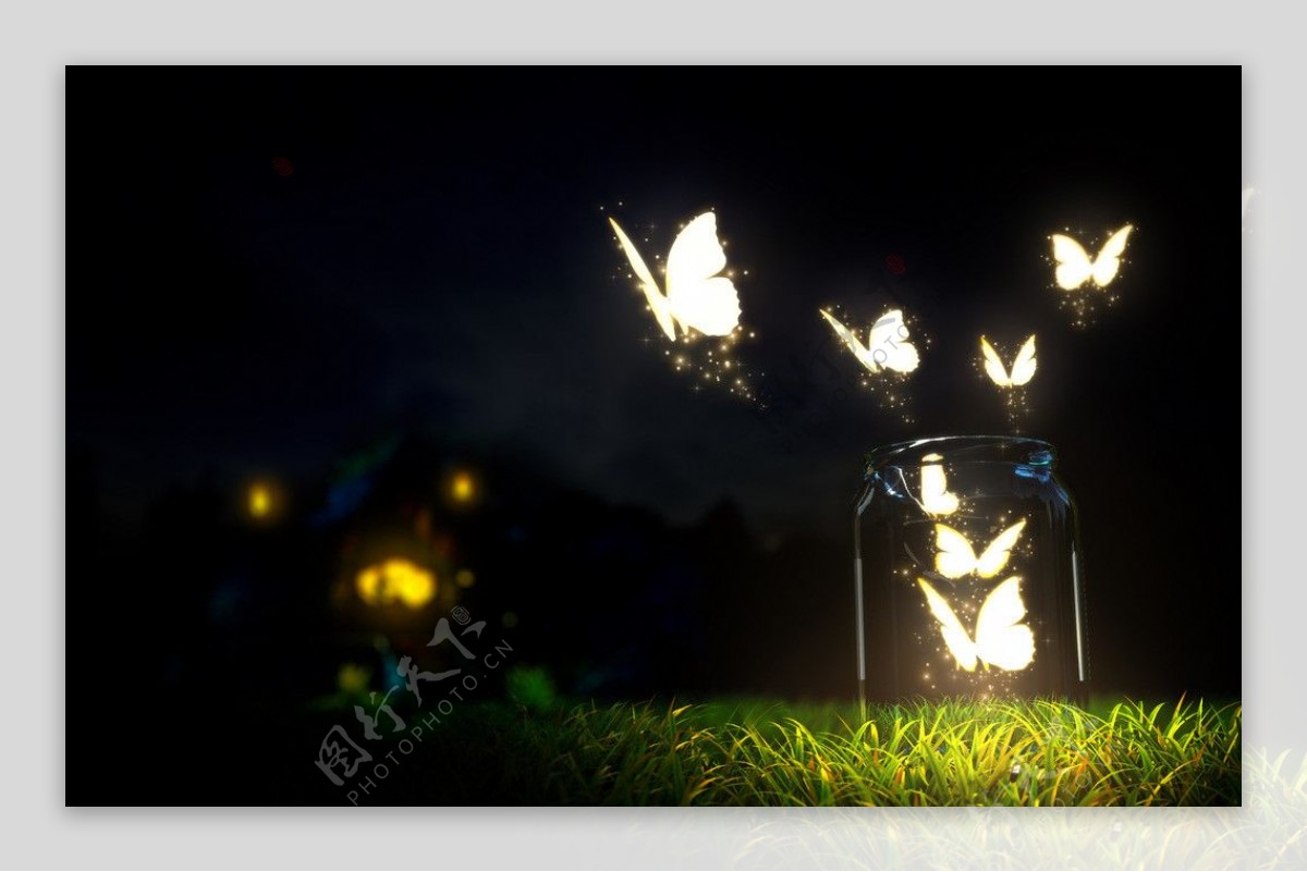 荧光蝴蝶图片