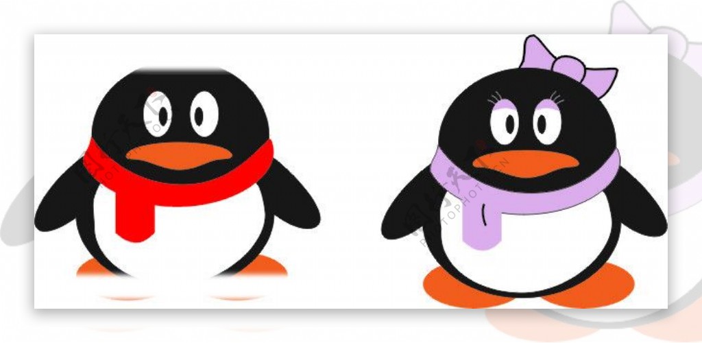 QQ宠物企鹅图片素材-编号08084106-图行天下