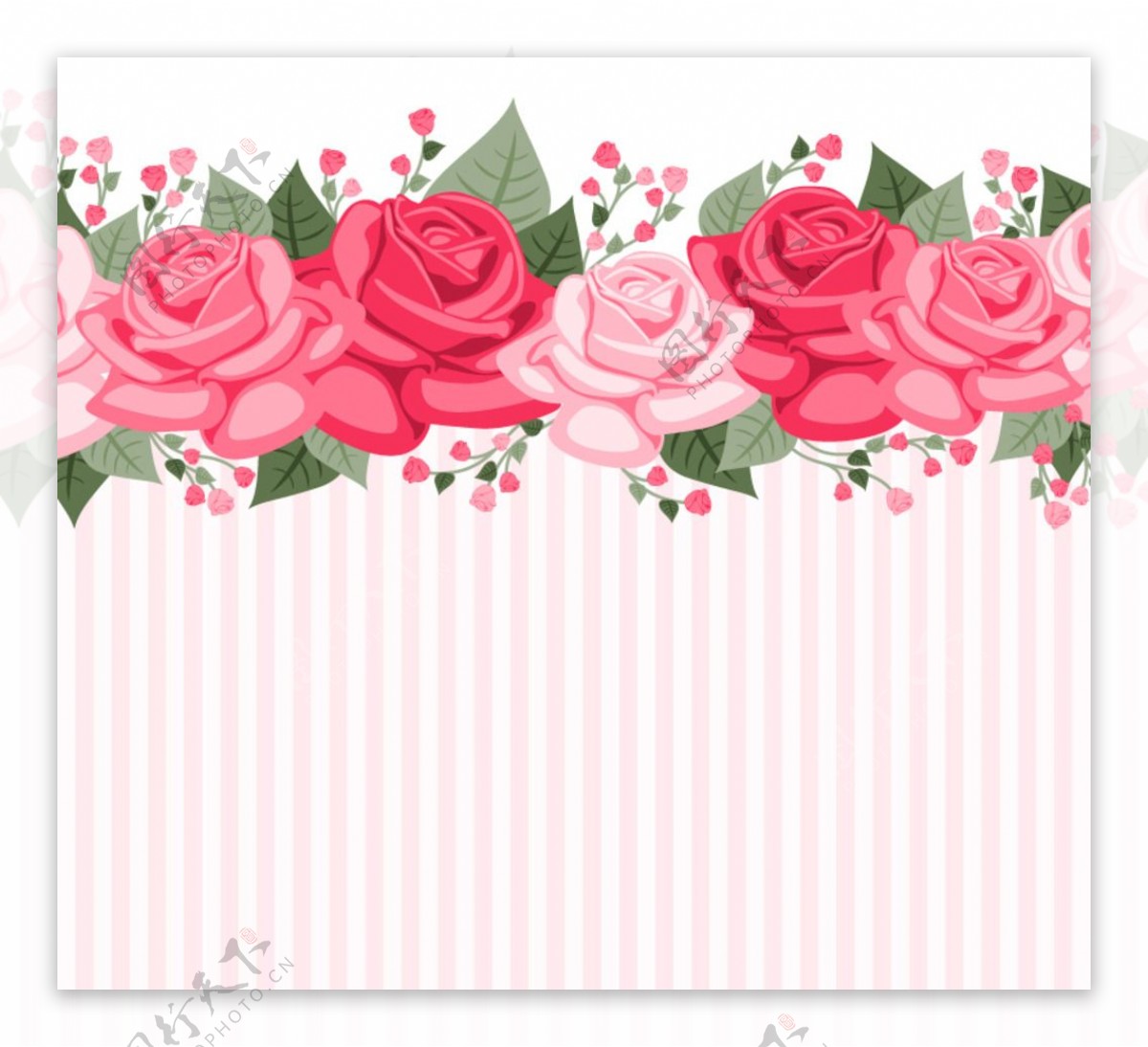 彩色玫瑰花条纹背景图片
