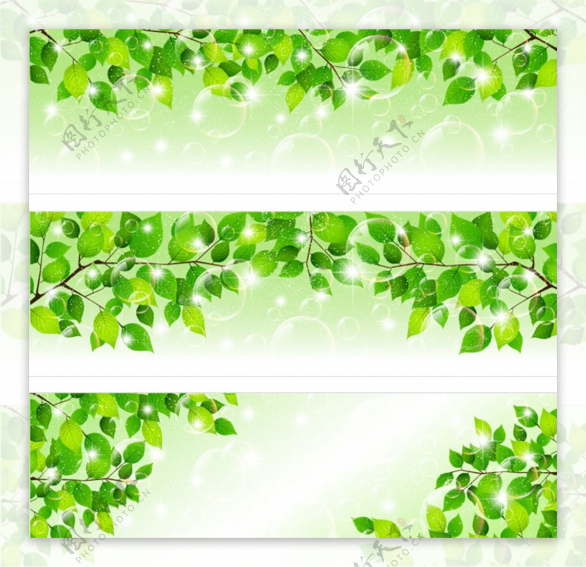 绿色环保树叶展板模板图片