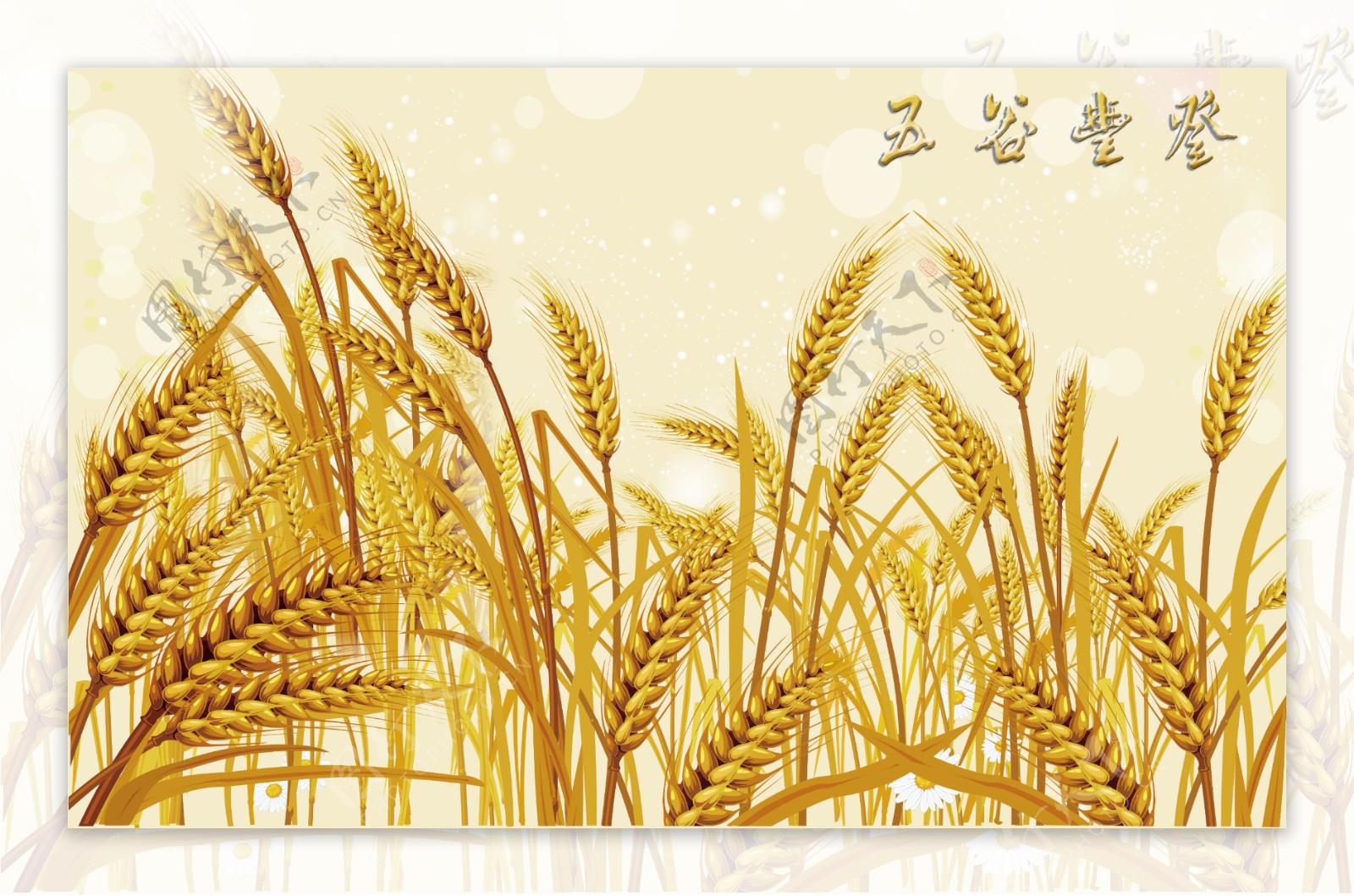 黄金稻穗背景墙图片