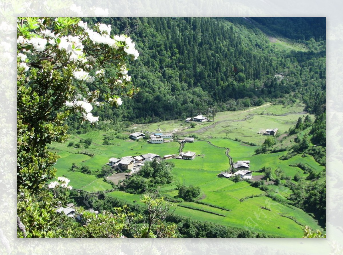 山谷中的雨崩村图片