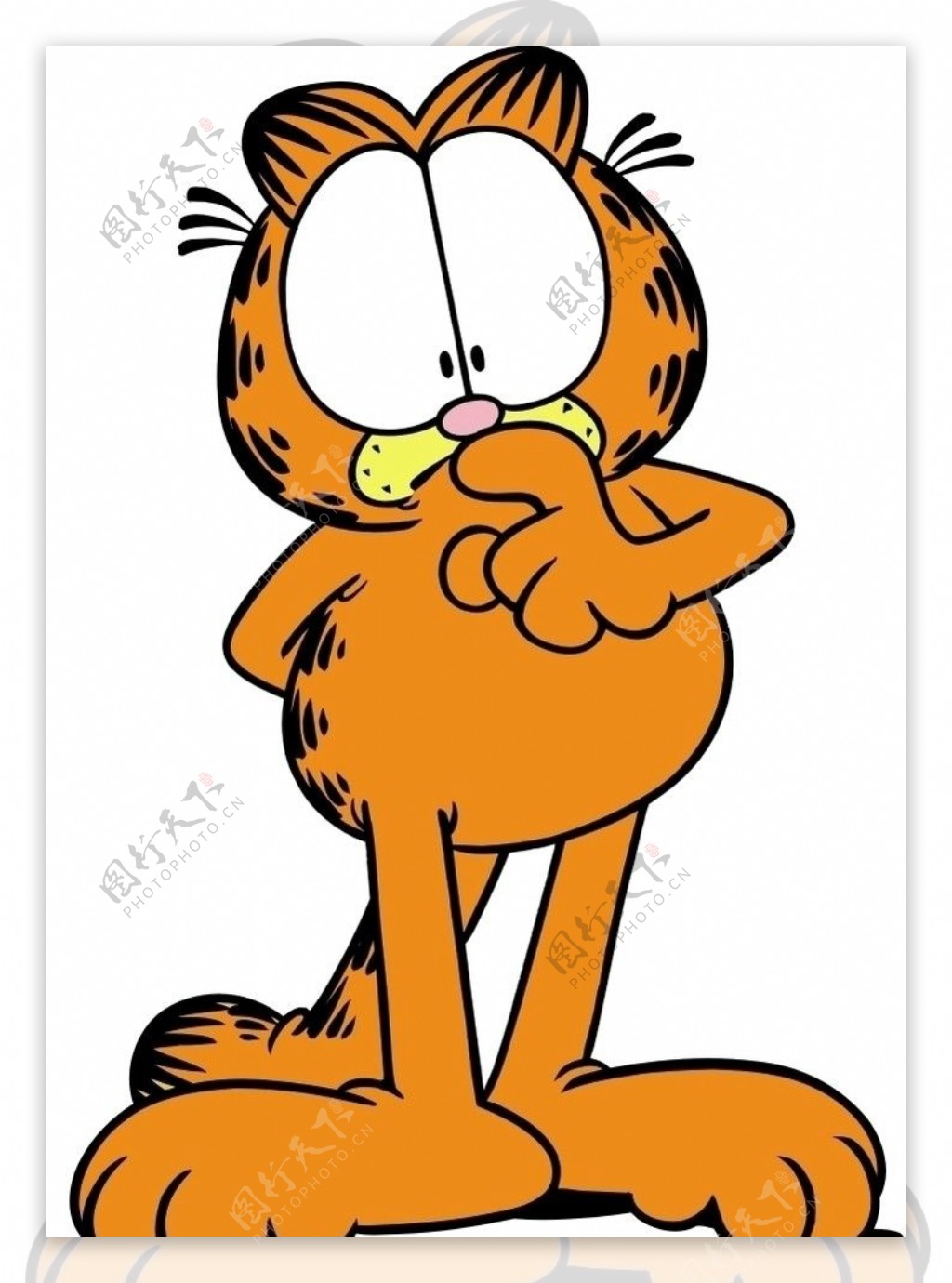 加菲猫Garfield图片