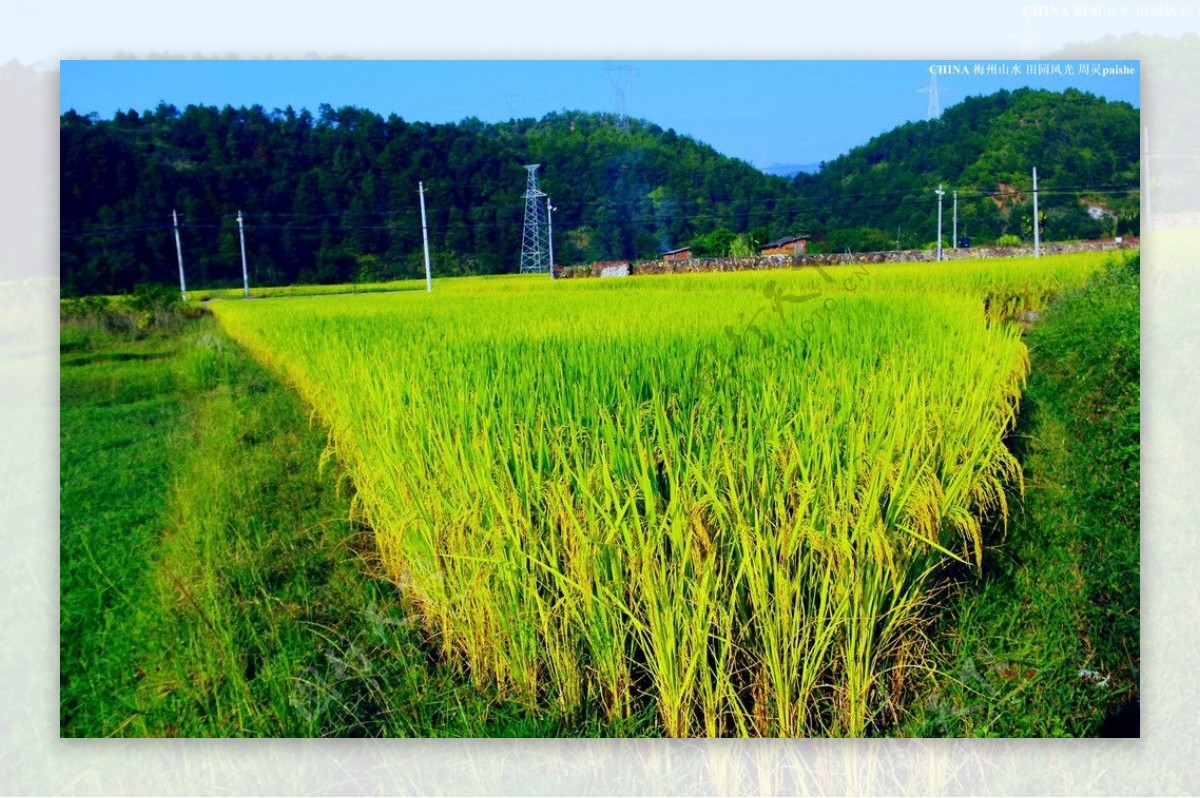 乡村田园风光图片