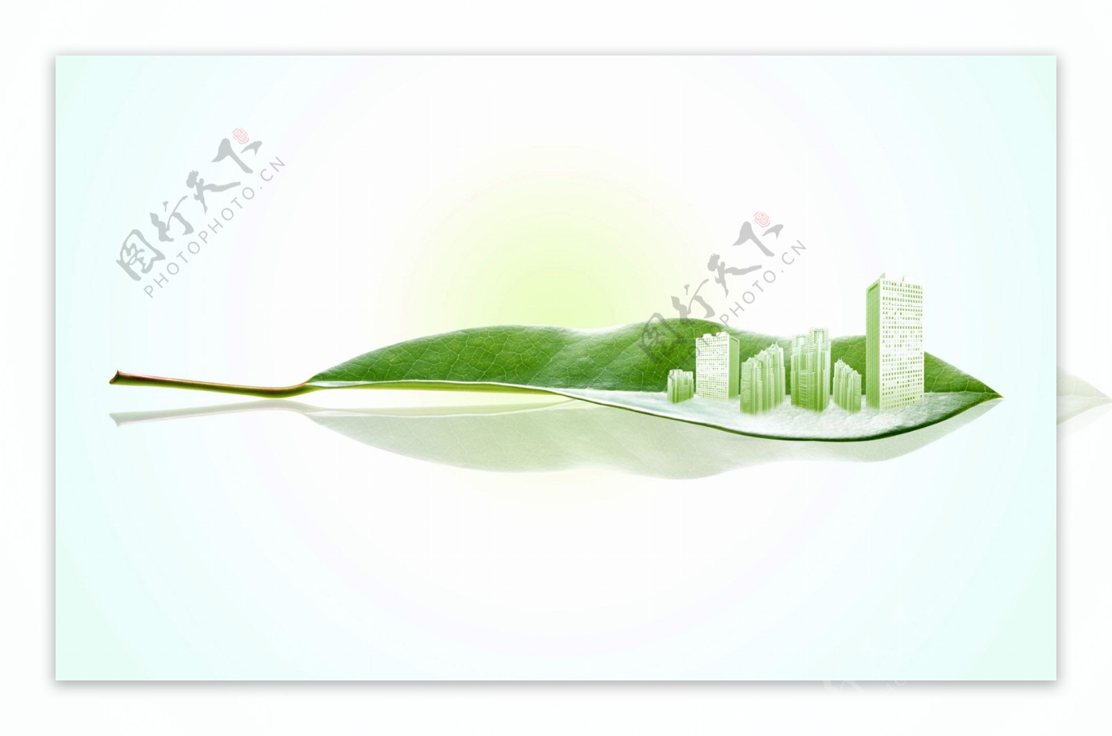 绿色自然树叶绿色建筑图片