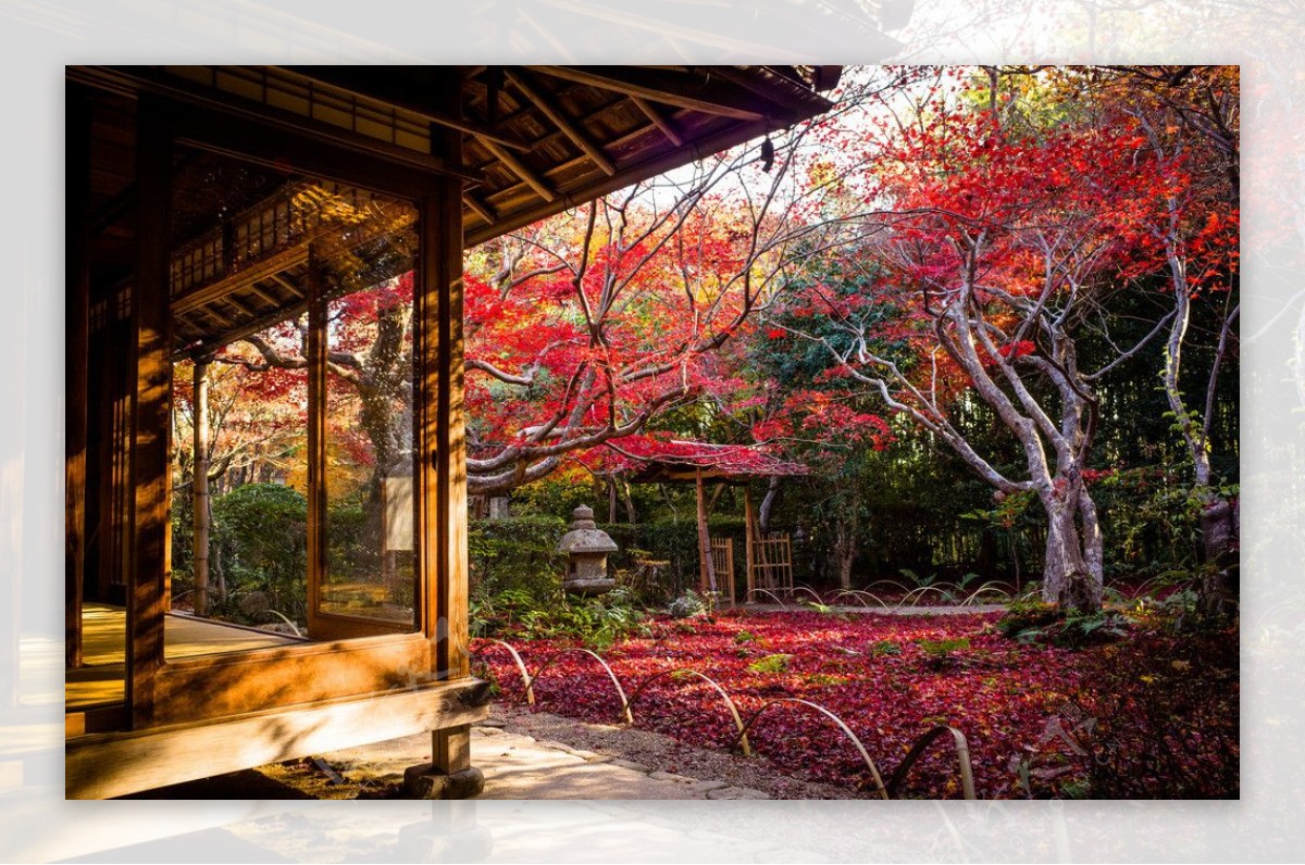 京都寺庙图片