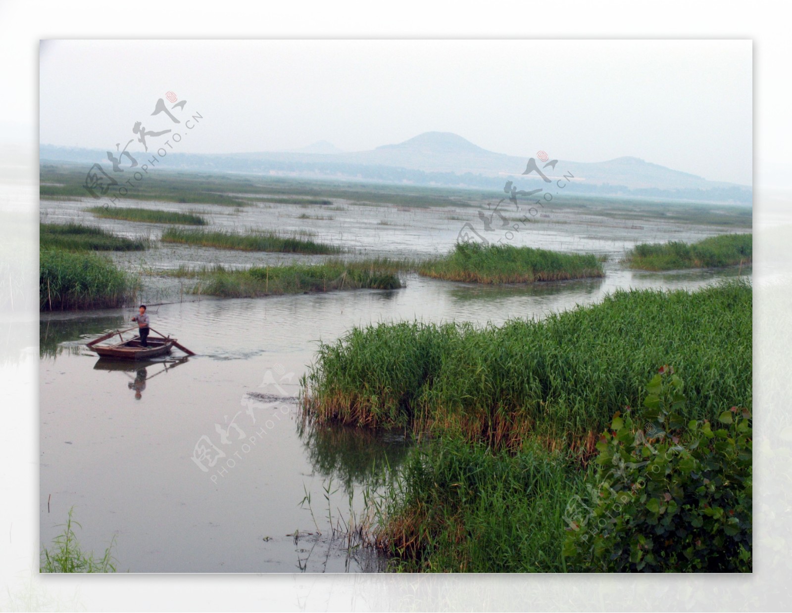 东平湖湿地泛舟图片