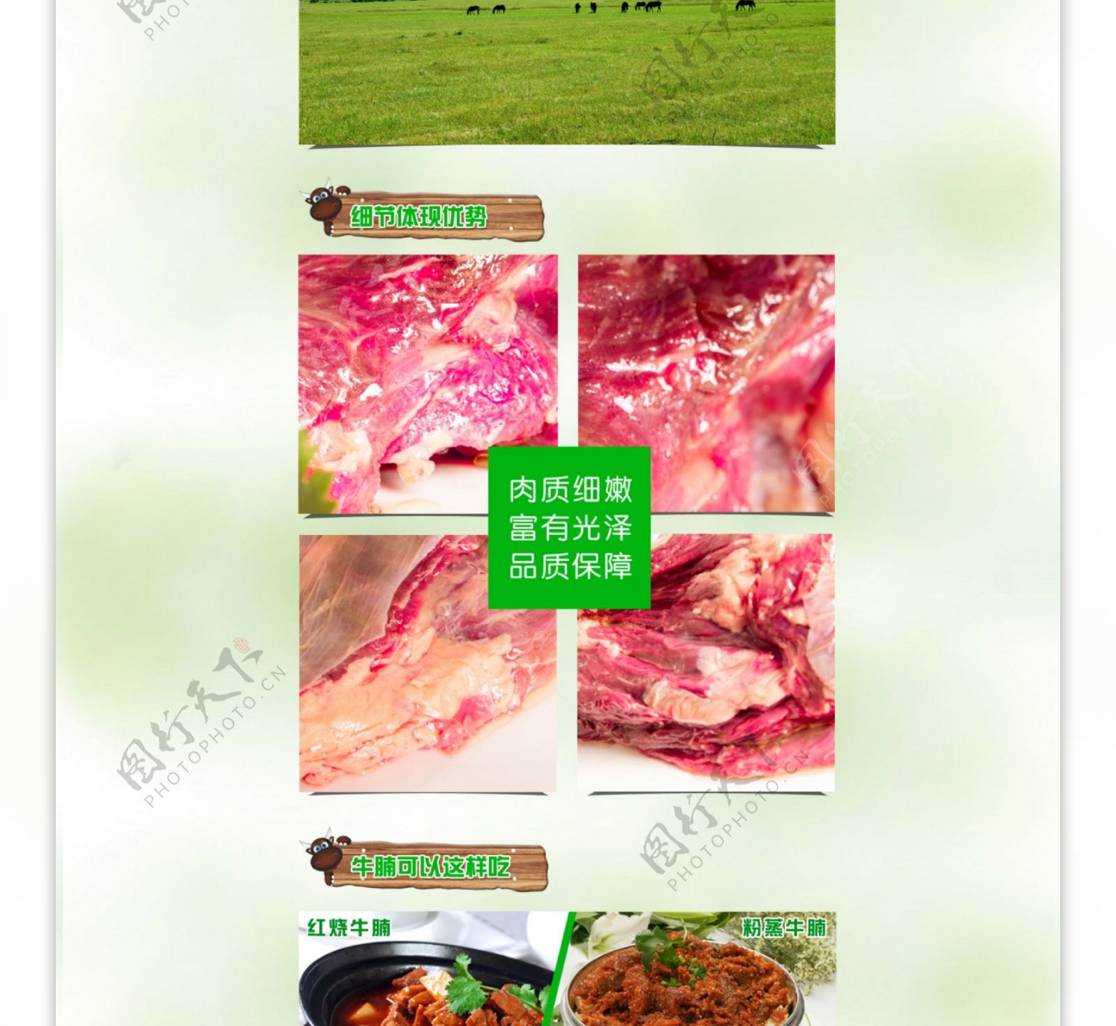 牛肉专题页图片