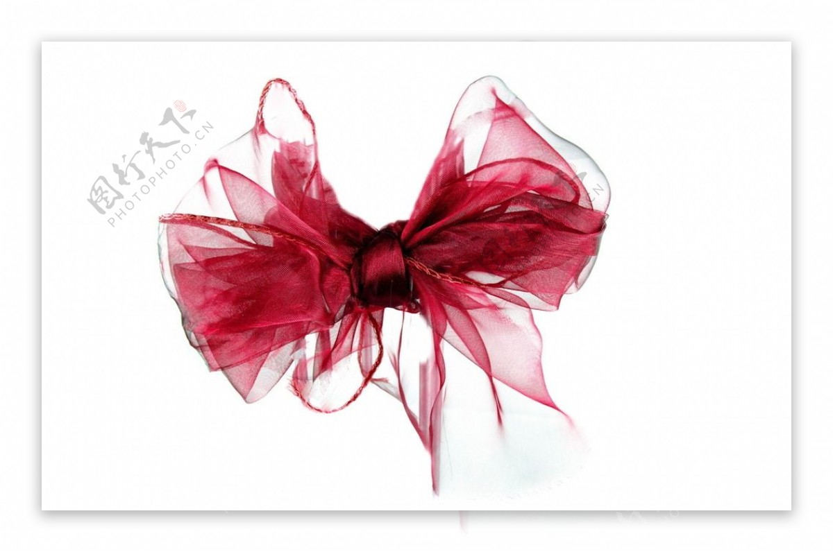 红色纱巾蝴蝶结图片