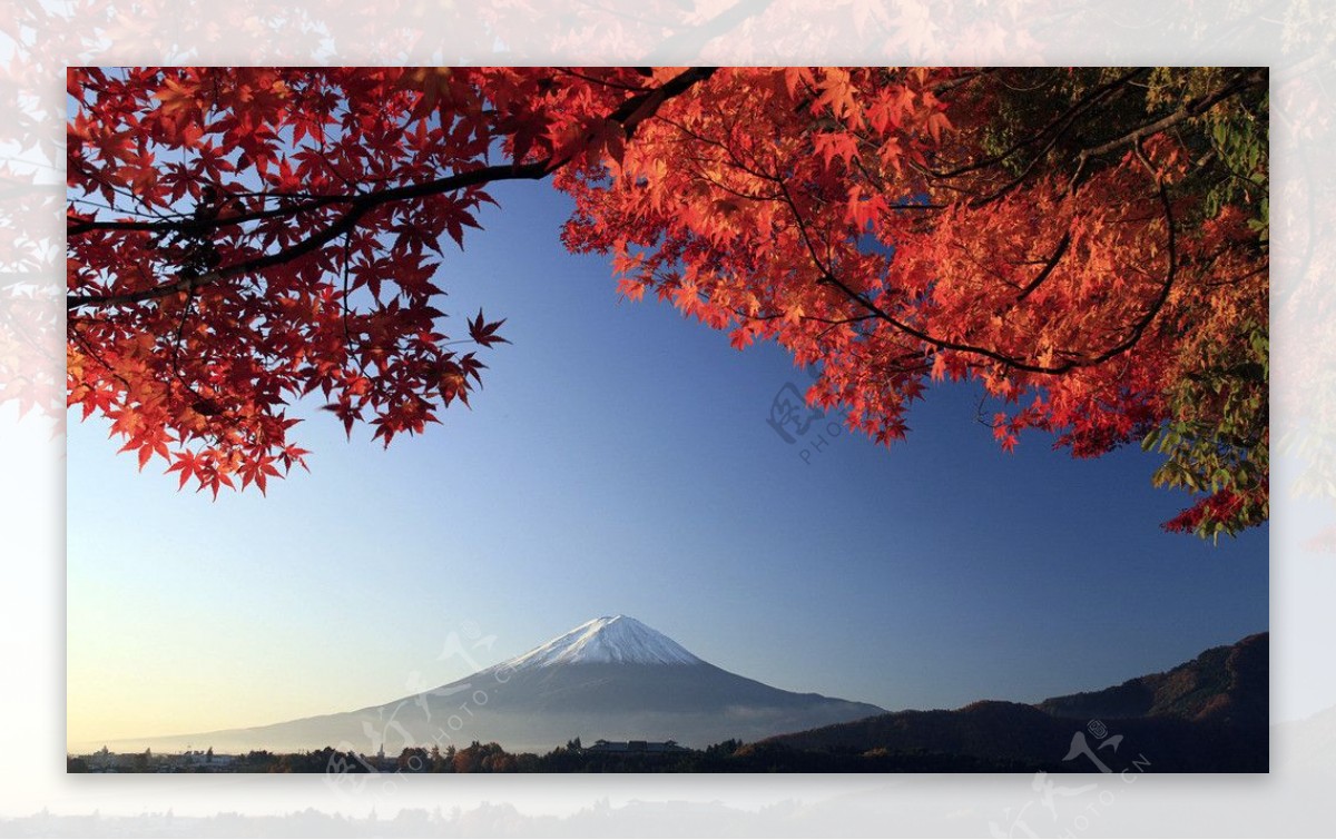 富士山的秋季图片