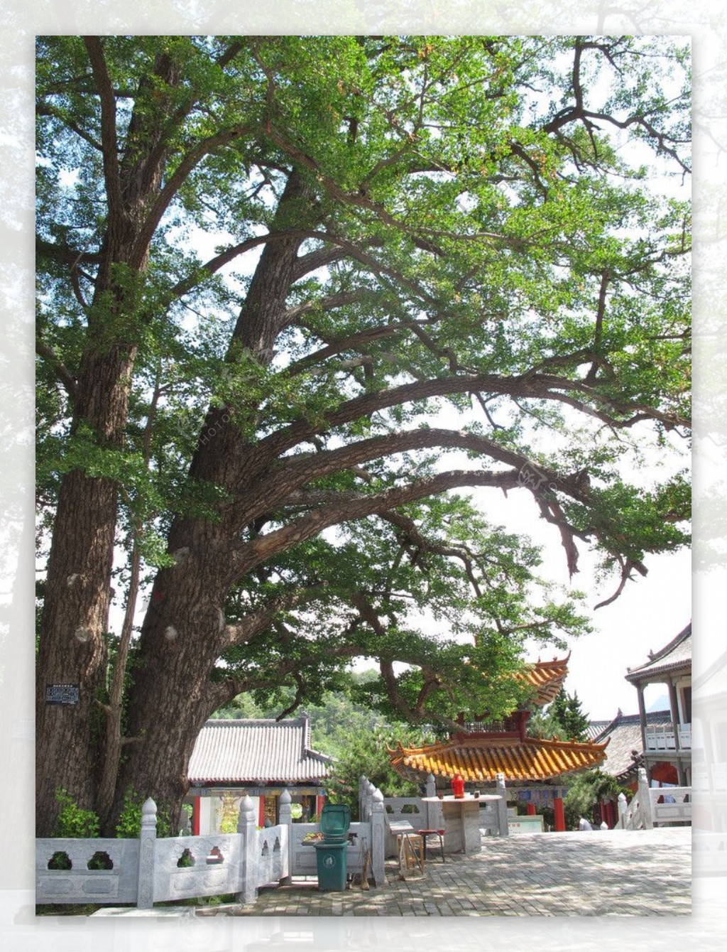 河南鲁山文殊寺图片