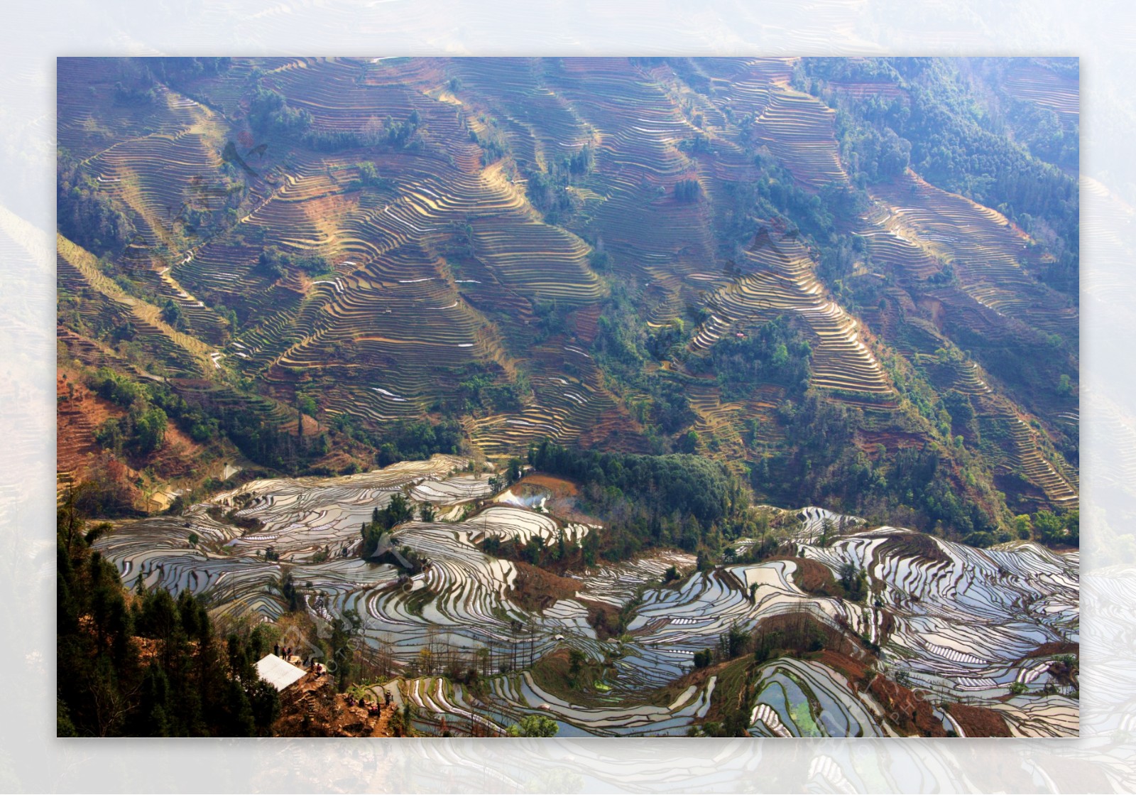 梯田大山图片