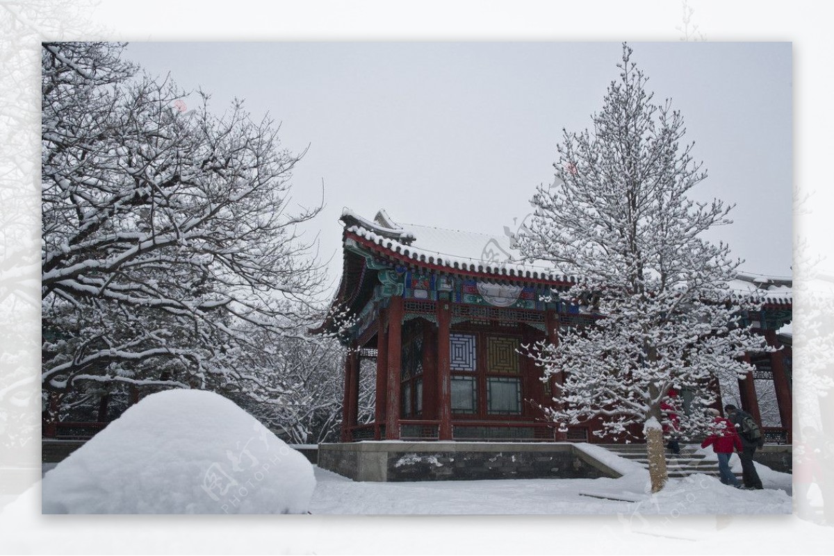 颐和园的雪图片