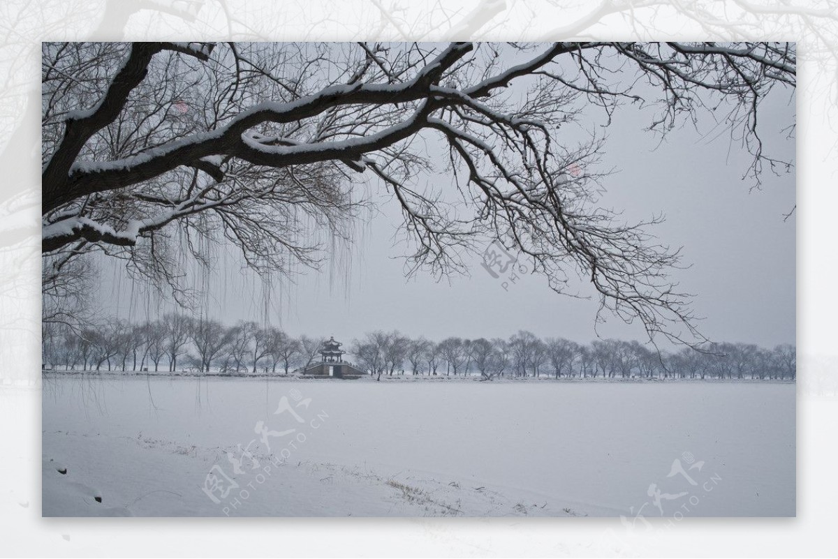 颐和园西堤雪景图片