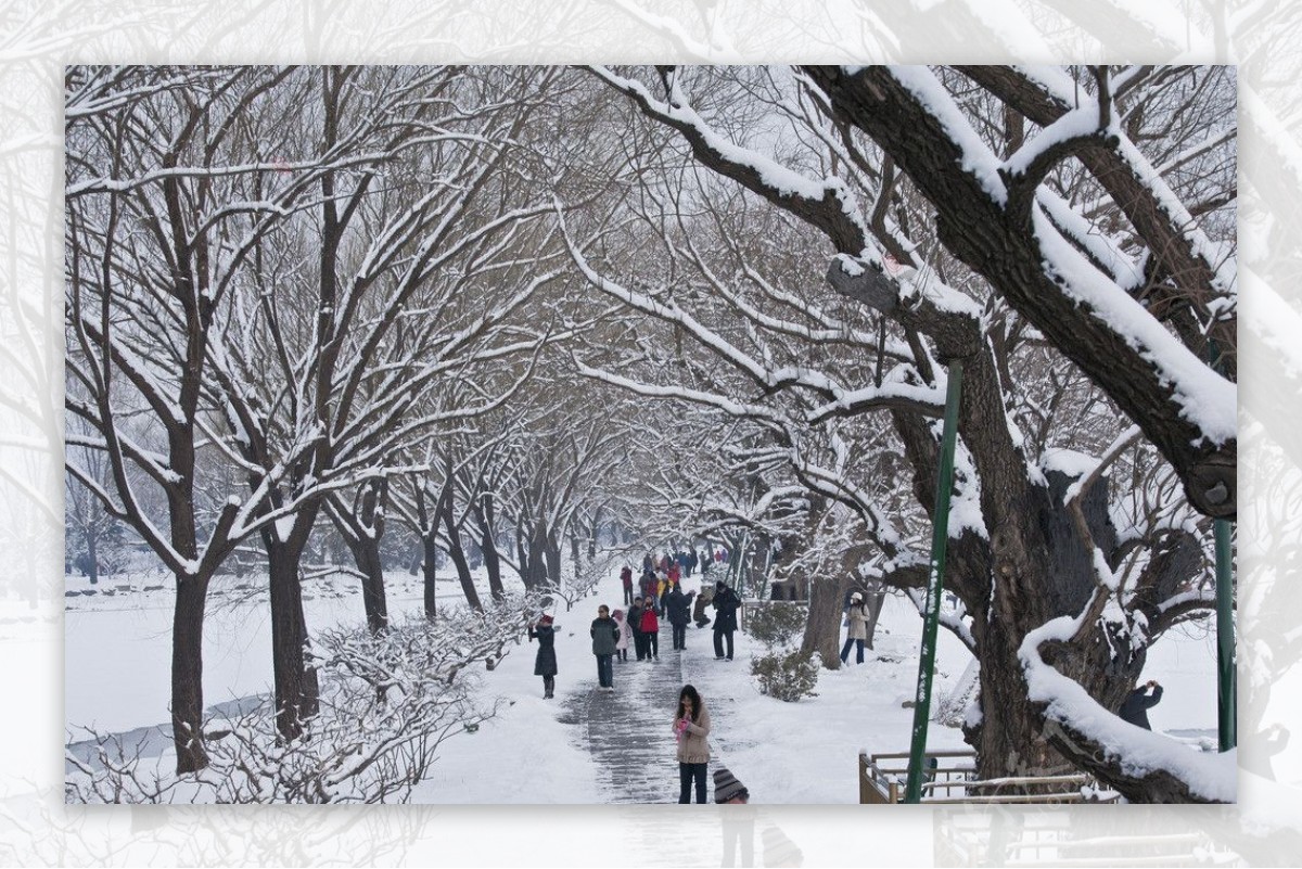 颐和园西堤雪景图片