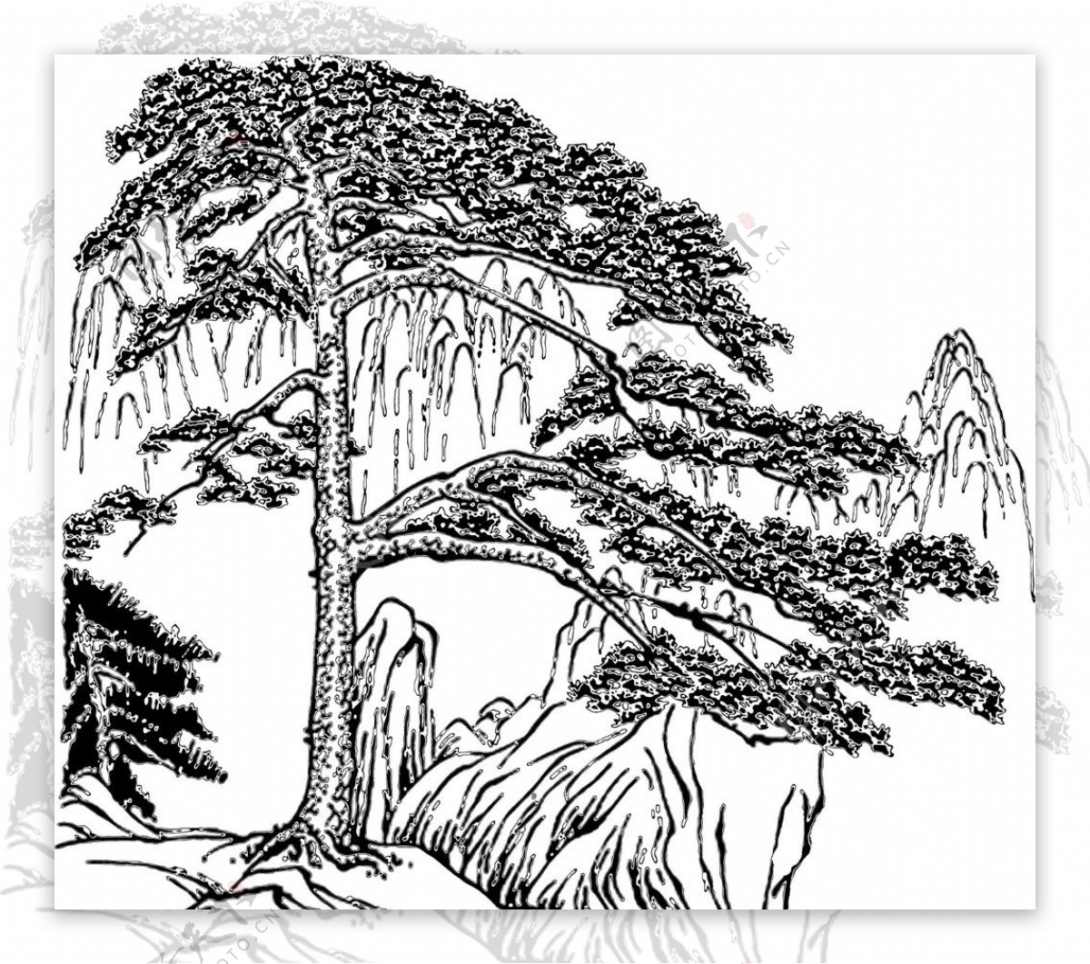 最美古树名木：轩辕黄帝手植柏-智慧林业网 | 关注智慧林业发展与创新