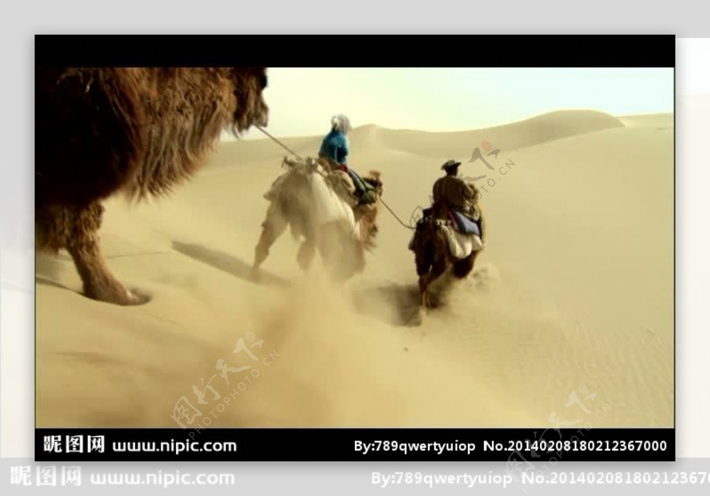 沙漠驼队视频素材