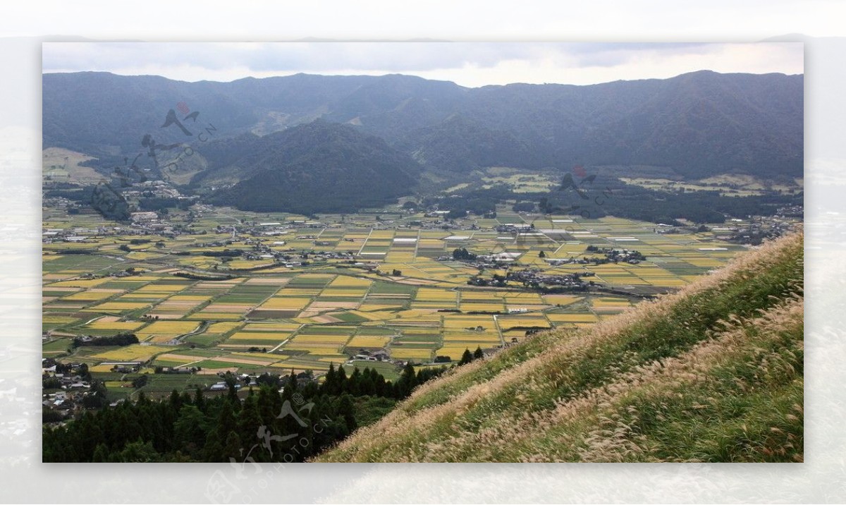 田园风光图片