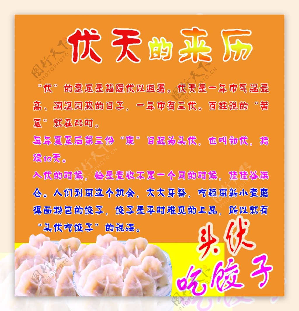 伏天吃饺子图片