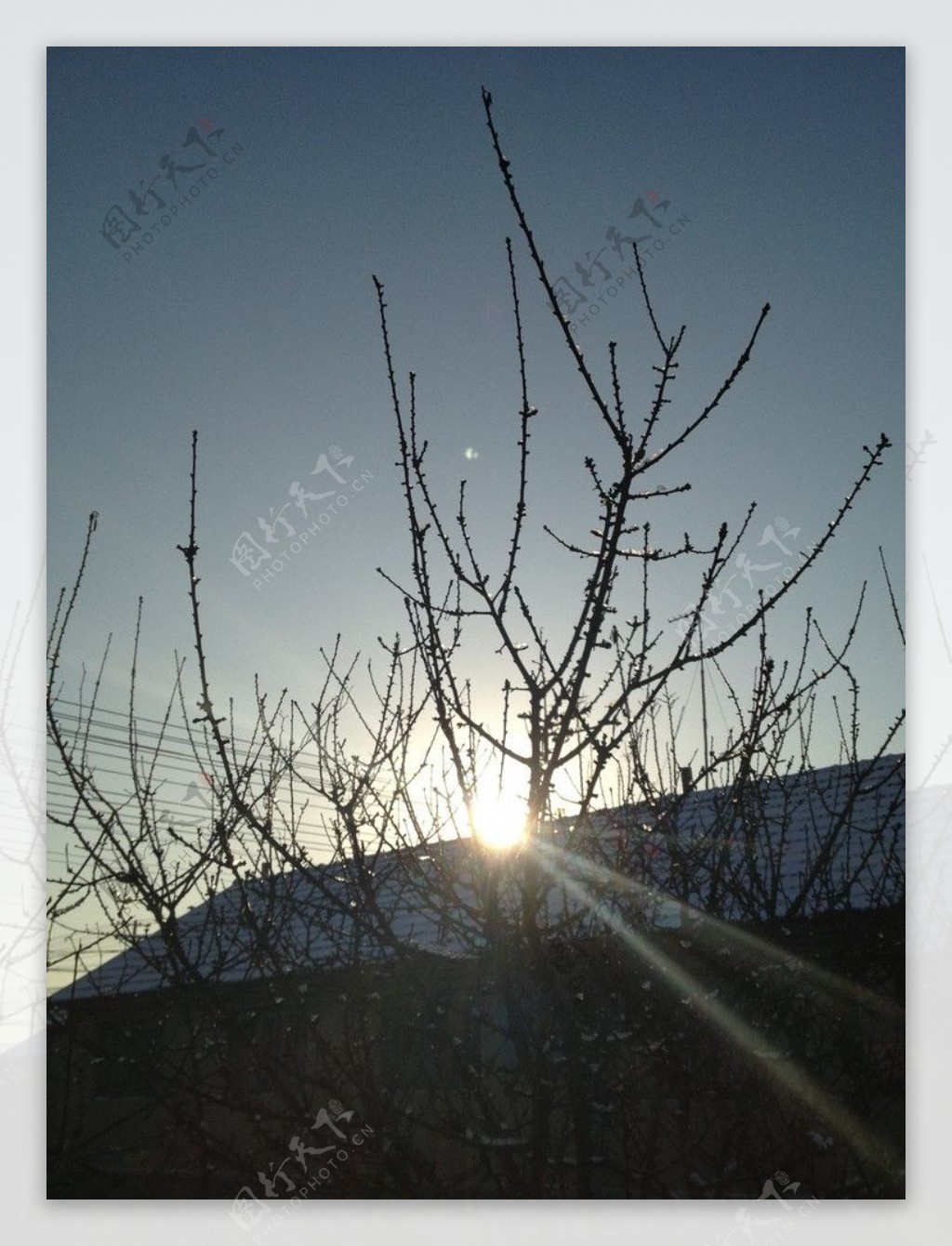 冬日暖阳图片