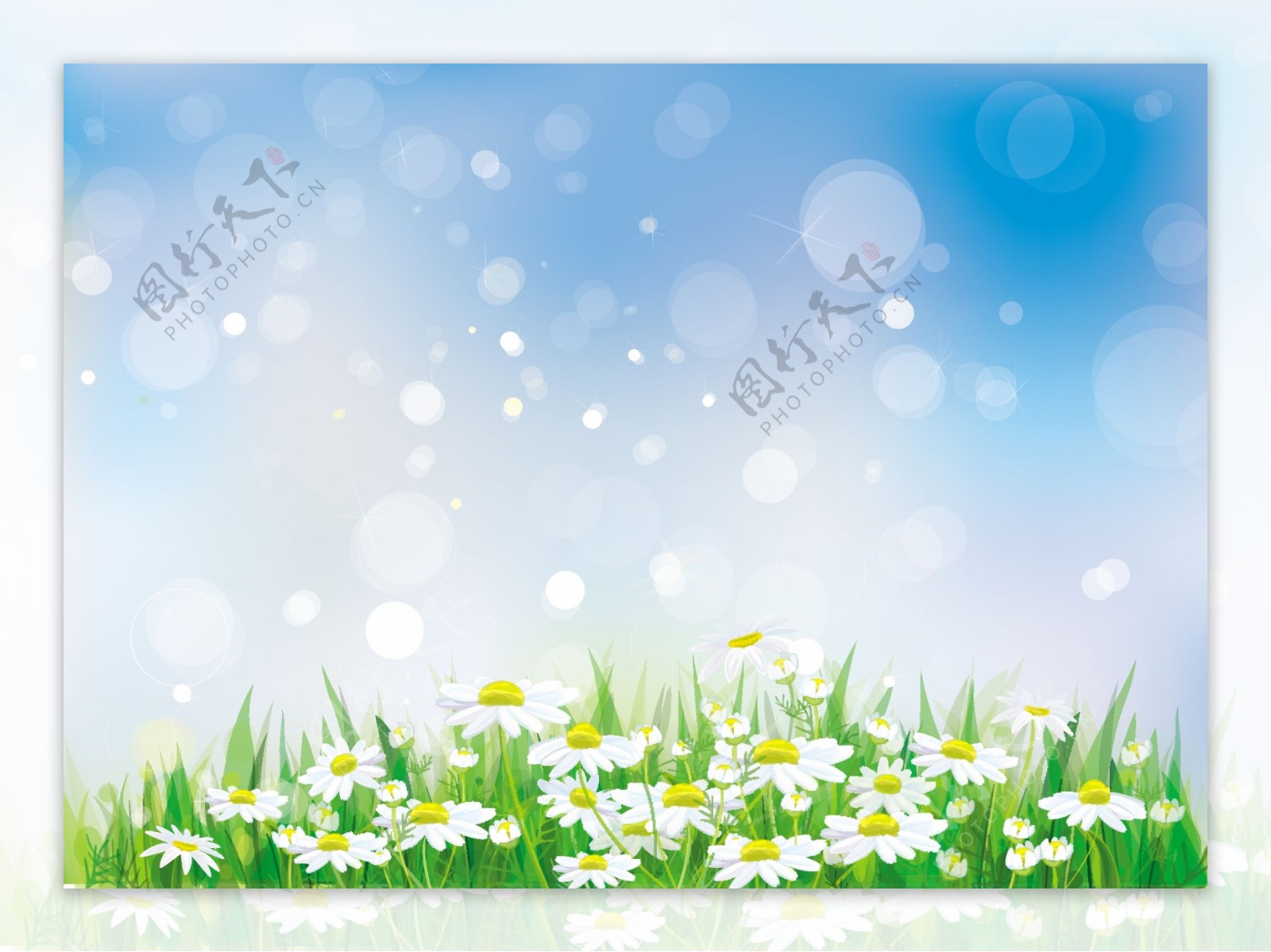 鲜花草地春天背景图片