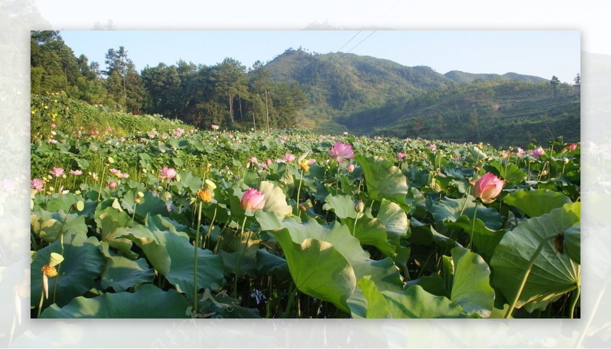 江西风光图片