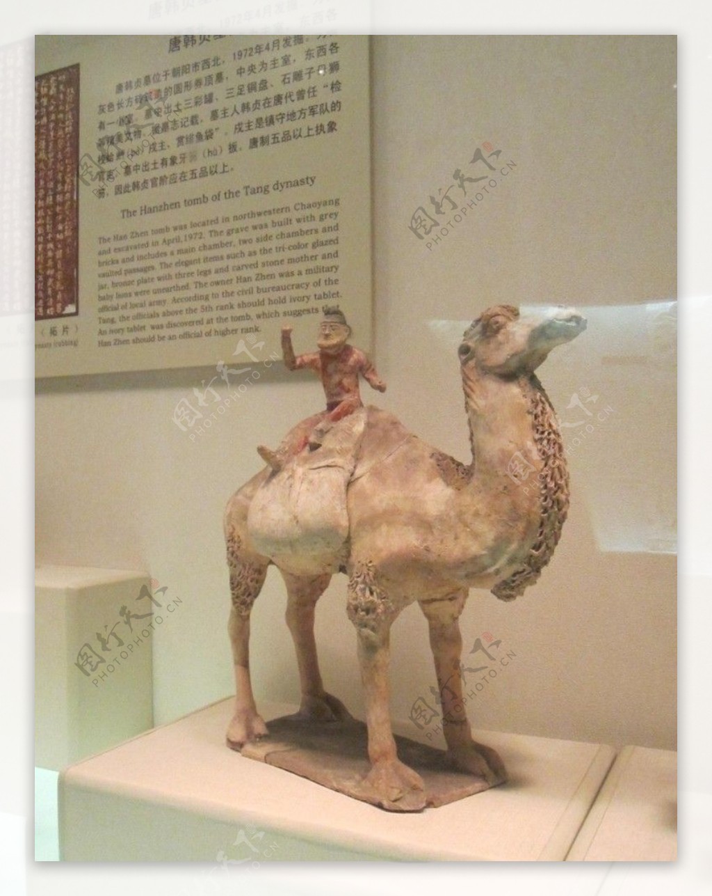 唐朝釉陶载物骆驼及牵驼俑图片